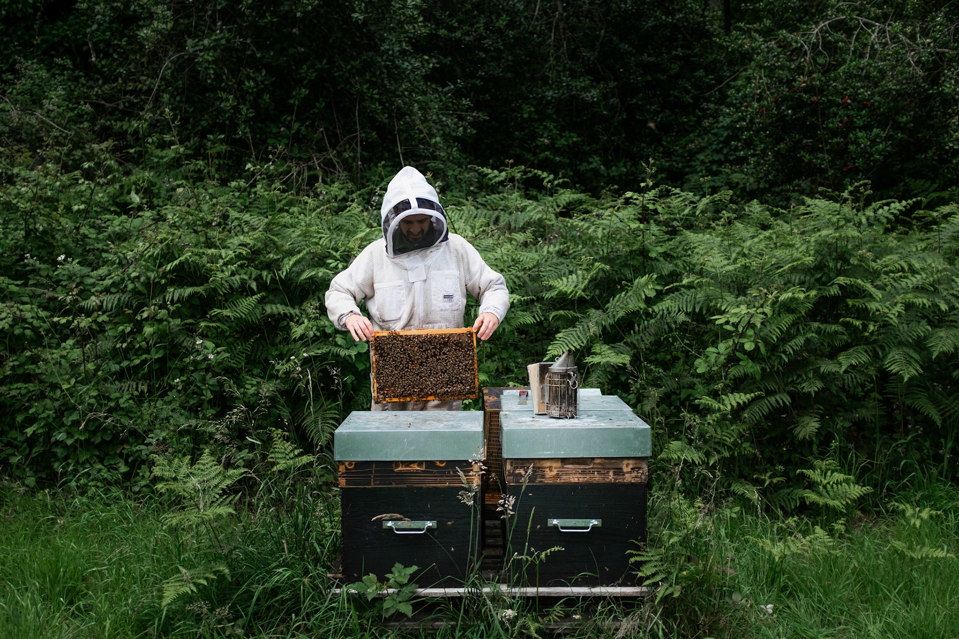 Hymne à l'abeille, Apiculteur