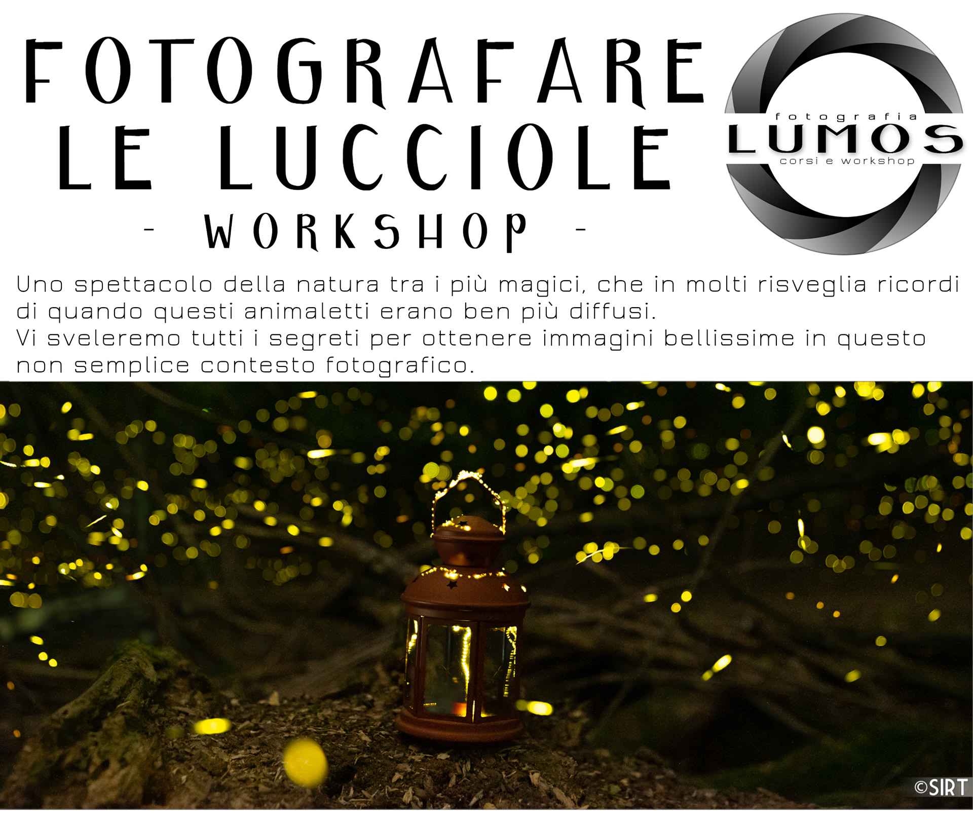 Workshop: fotografare le lucciole