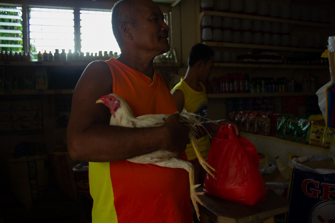 A man brought his chicken into a pharmacy. Leyte, Philippines.