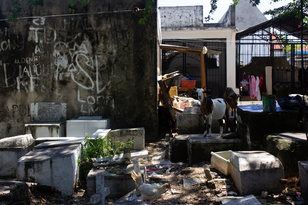 Carreta, Cebu, Philippines.
