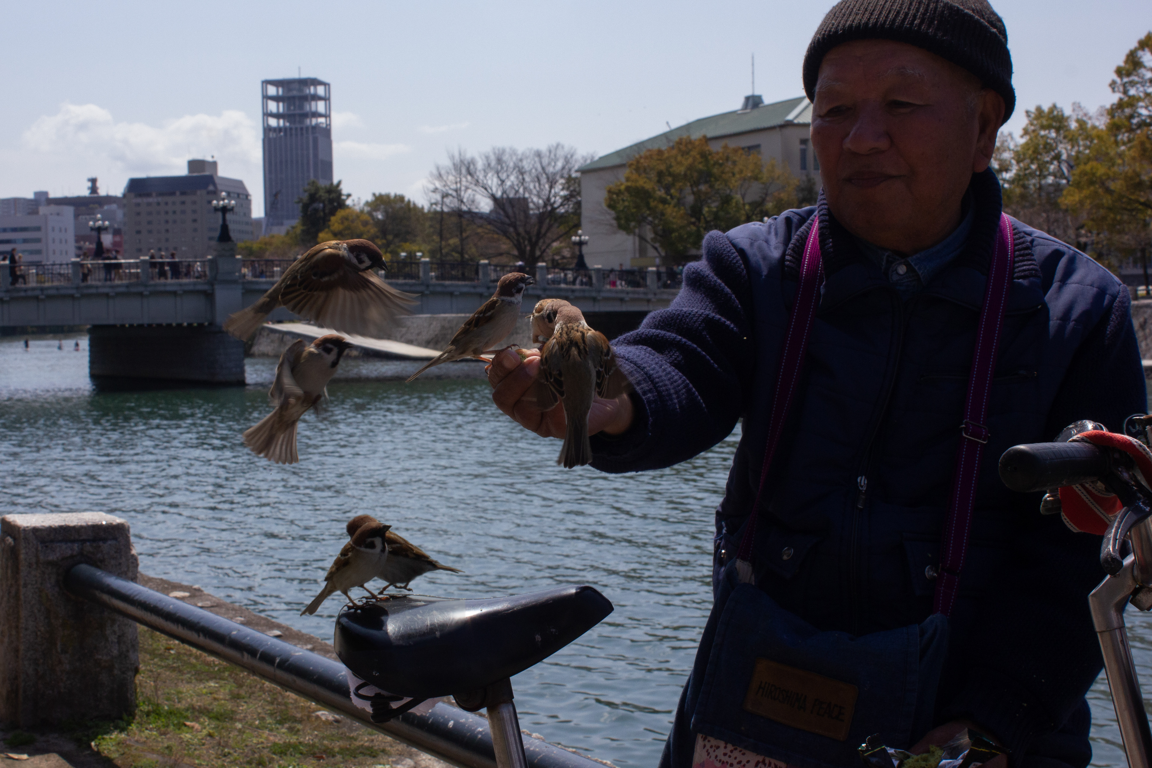 A man feeding sparrows in-front of the Atomic Bomb Dome. Hiroshima, Japan. (広島市)
