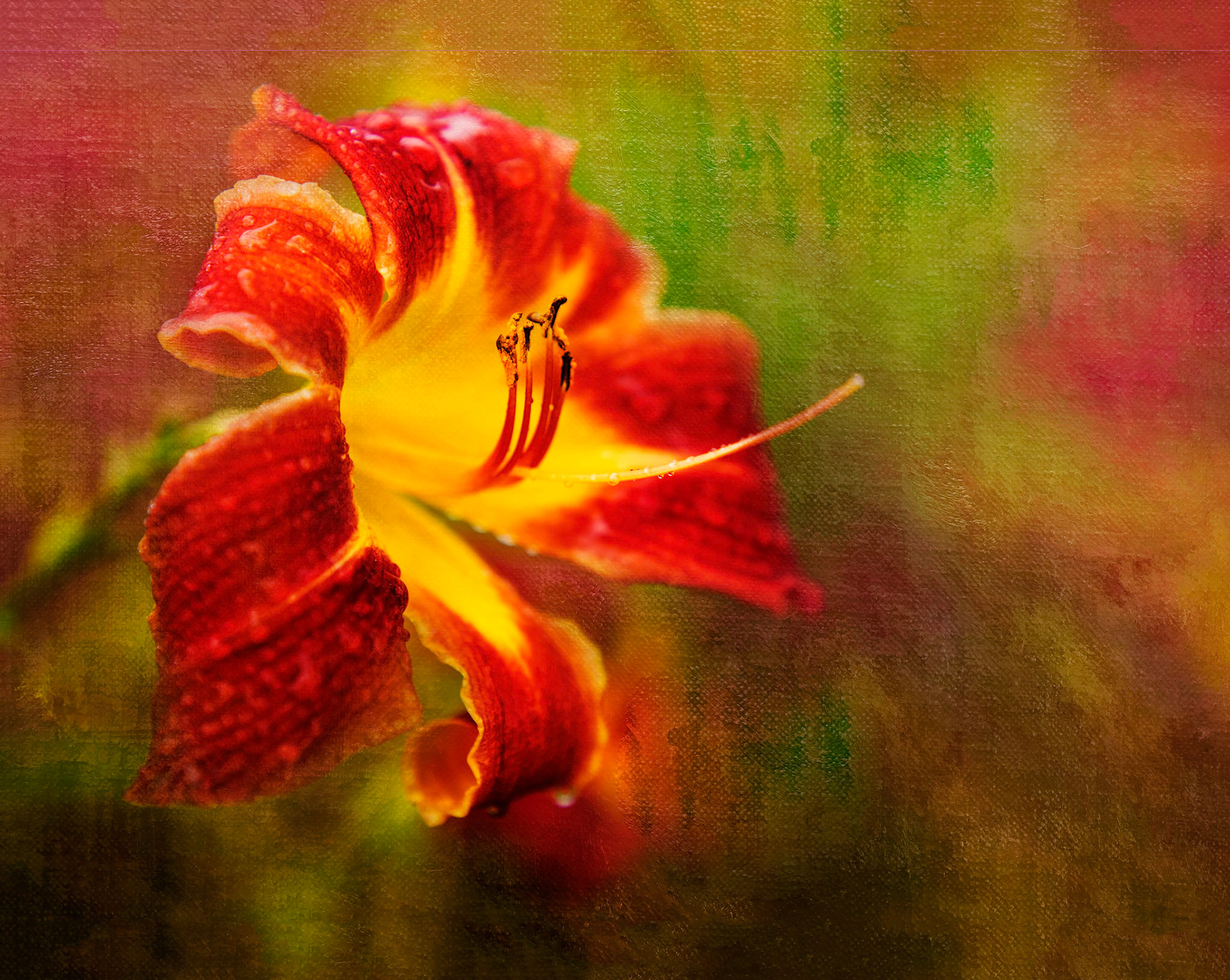Vibrant, bold abstraction of modern floral art  in warm autumnal hues.  Energizing macro floral artwork designed for home, wall art and hotel decor licensing.