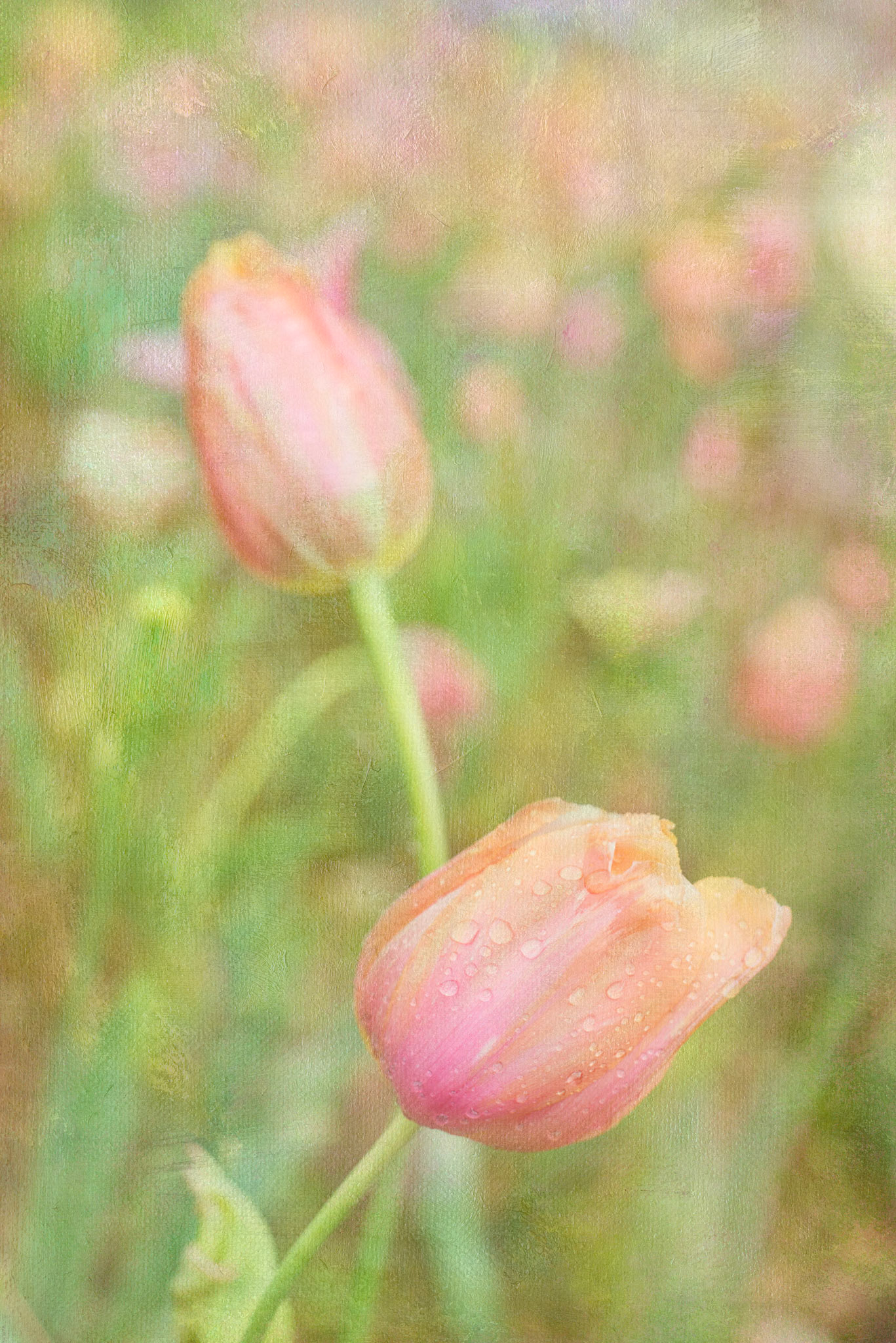 Dreamy soft focus abstraction of garden inspired florals in peach, pink and greens Tranquil floral artwork designed for hotel decor and surface design licensing.