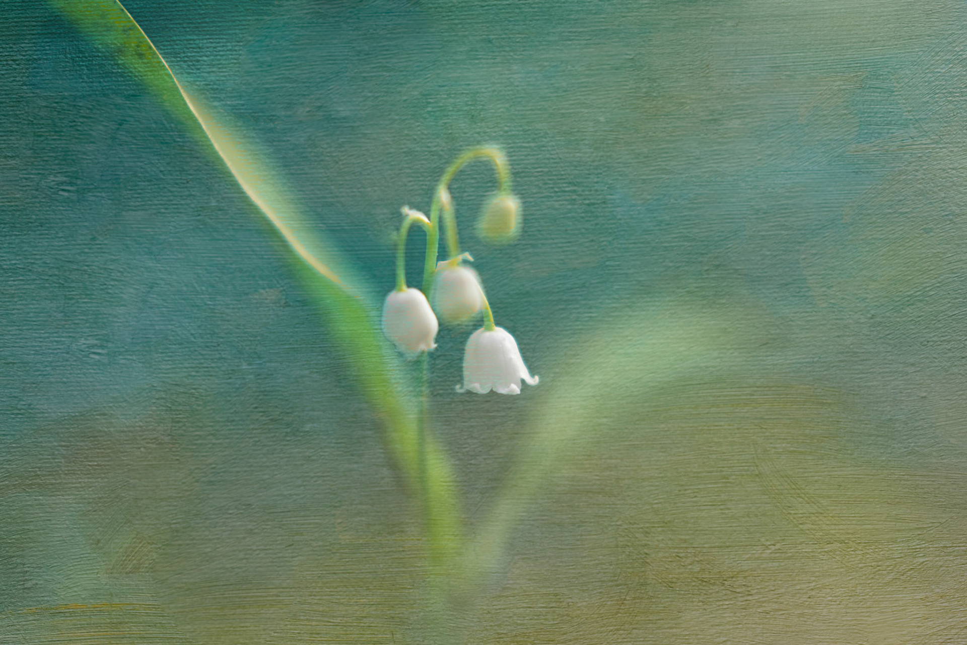 Dreamy soft focus abstraction of botanical florals in blues, greens and white tones. Tranquil floral artwork designed for hotel decor, home wall art and surface design licensing.