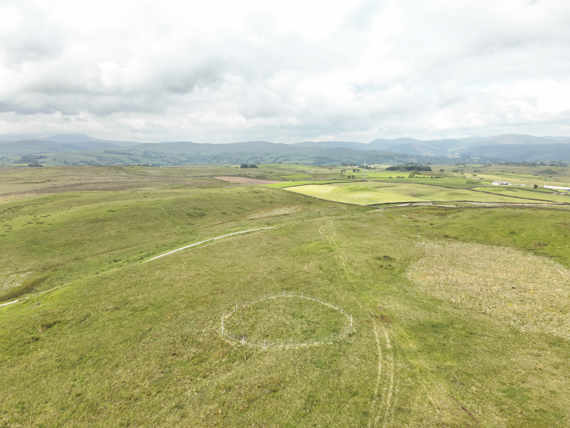 Curlew nest P 6, taken with drone, in the wider landscape. Summer, North Wales, UK.