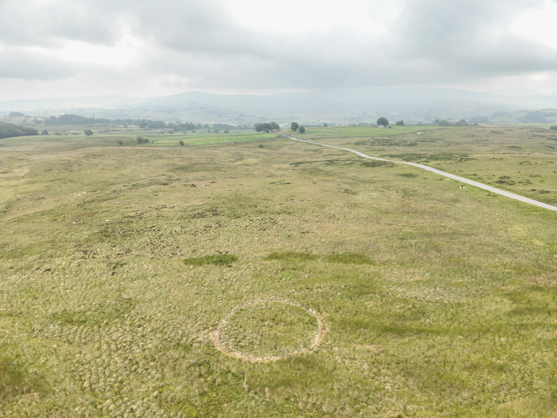 Curlew nest P 11, taken with drone, in the wider landscape. Summer, North Wales, UK.