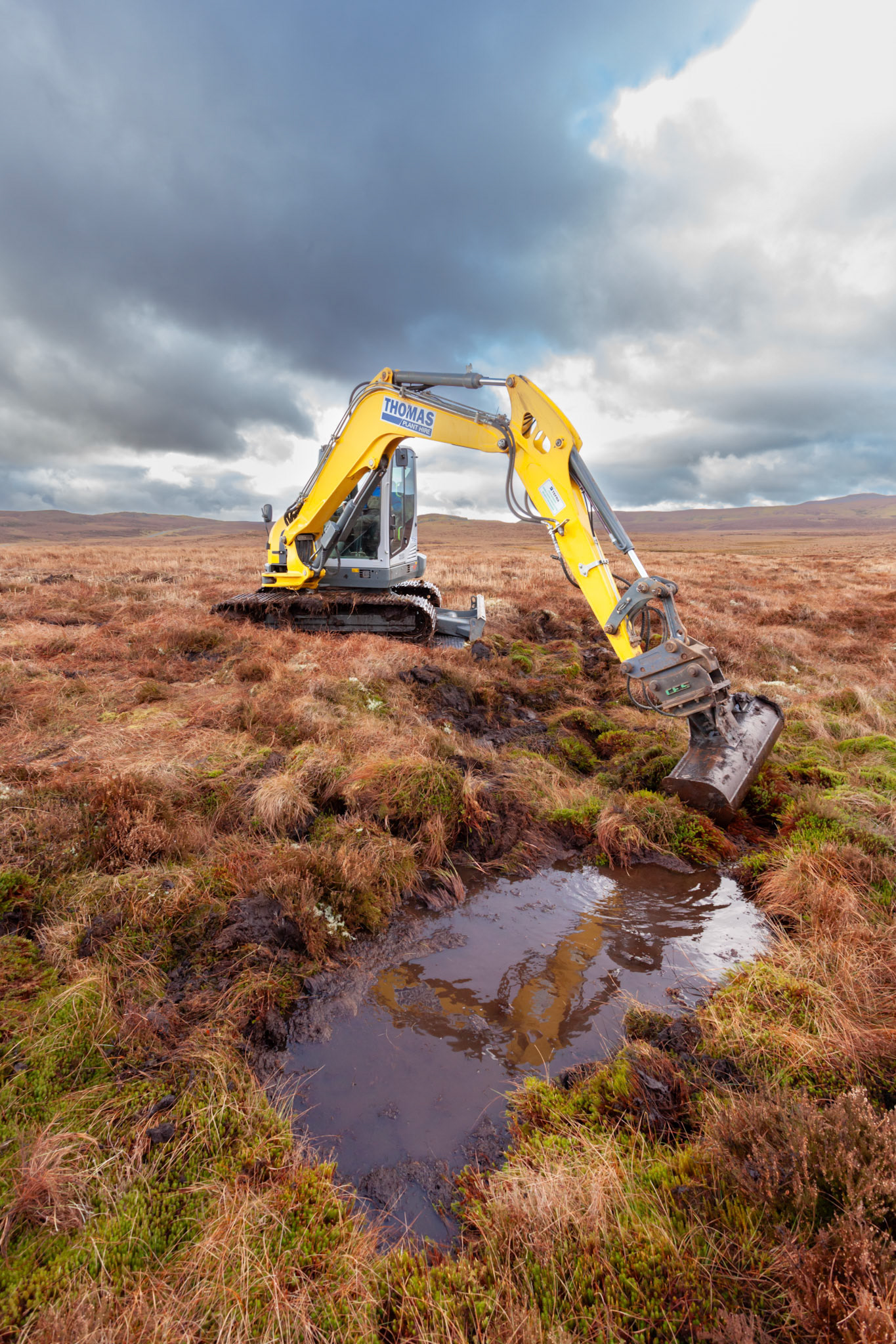 Contractor using digger to carry out peatland restoration work for RSPB peatland restoration project. Winter, Migneint moors, North Wales,UK (Portrait orientation).
