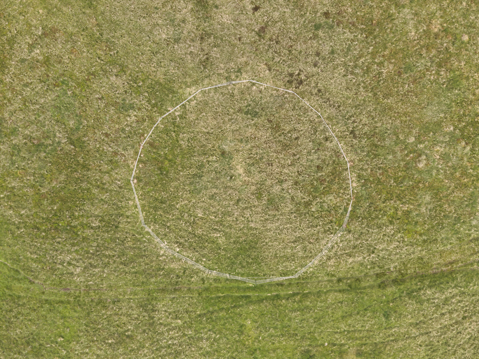 Aerial image of Curlew nest P 1, looking directly down. Summer, North Wales, UK.