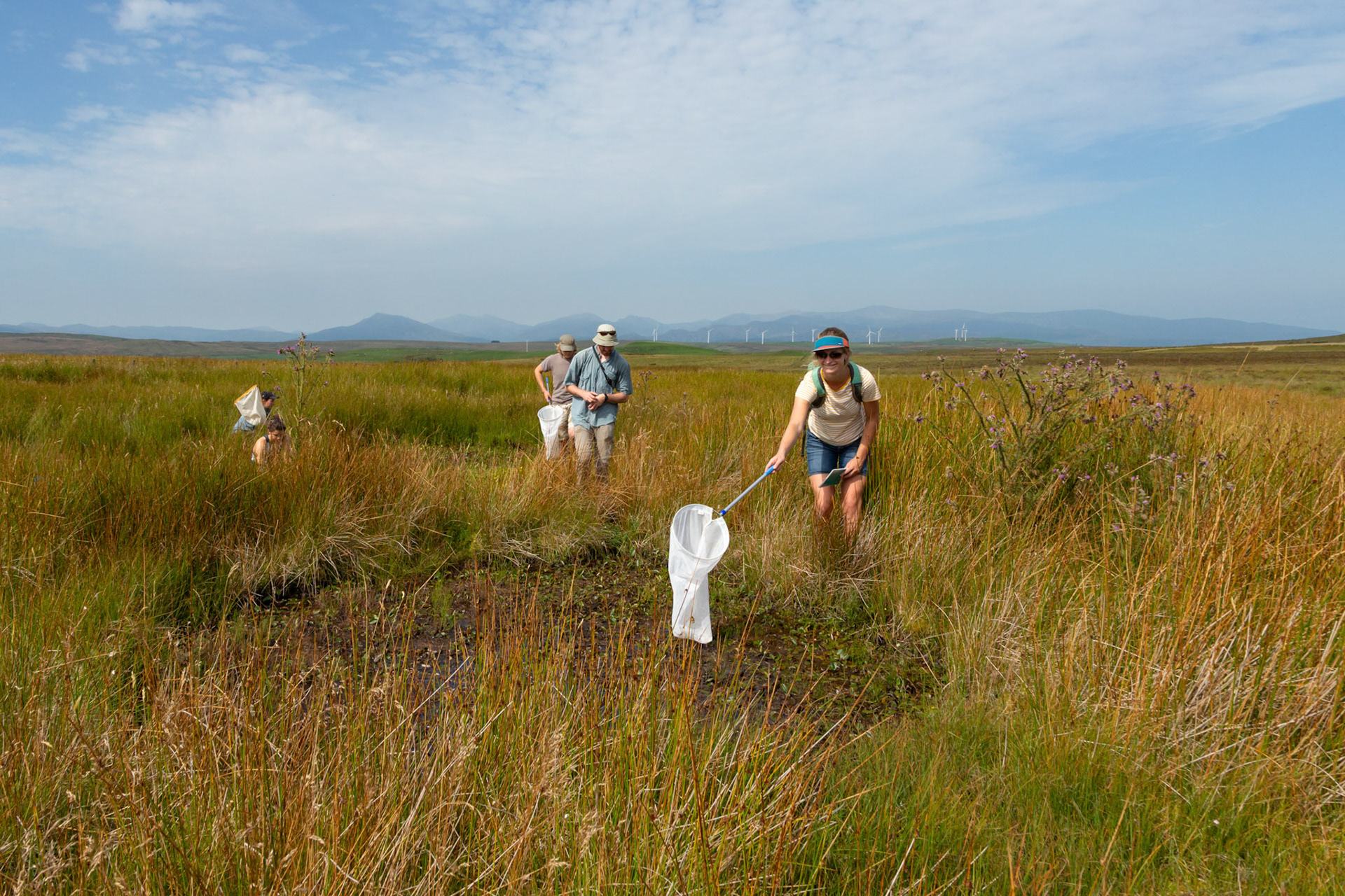 RSPB staff members and volunteers conducting a dragonfly survey at pond on North Wales moors. Summer, North Wales, UK