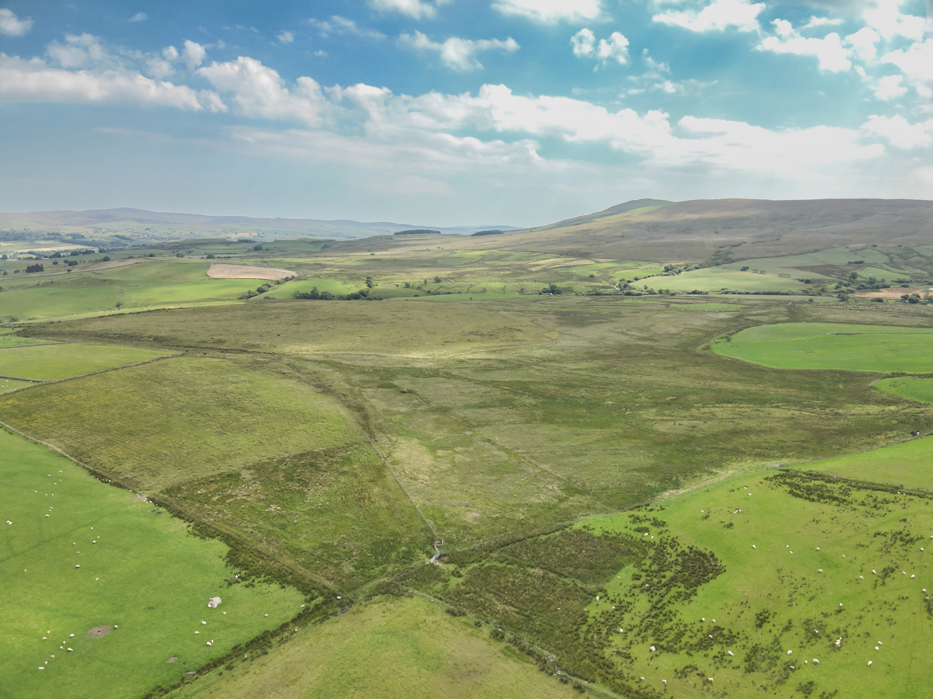 Ynys Wen, taken with drone, in the wider landscape. Summer, North Wales, UK.