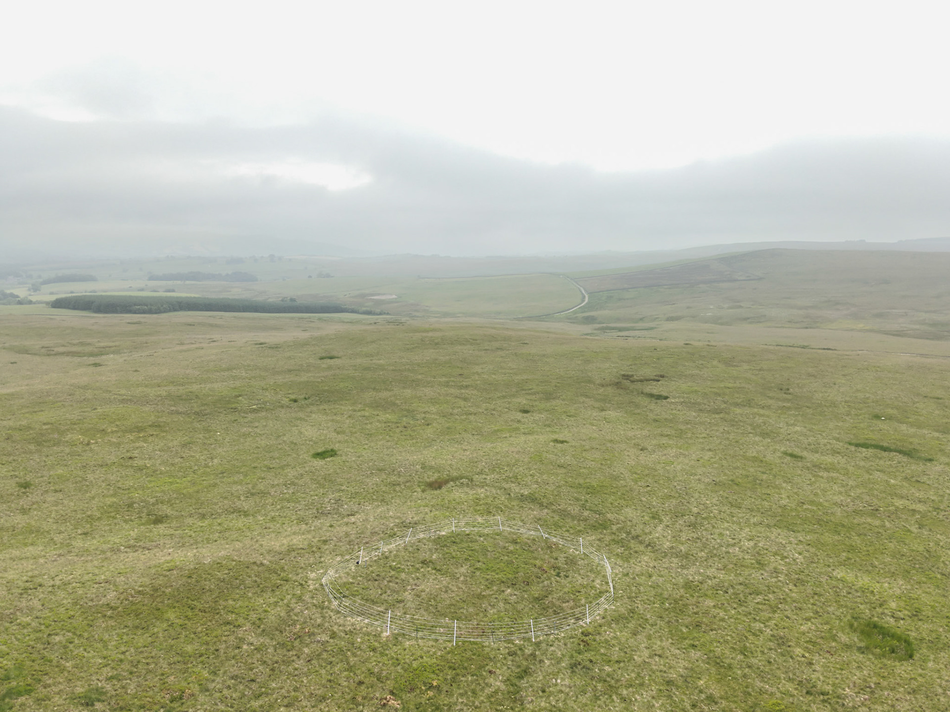 Curlew nest P 7, taken with drone, in the wider landscape. Summer, North Wales, UK.