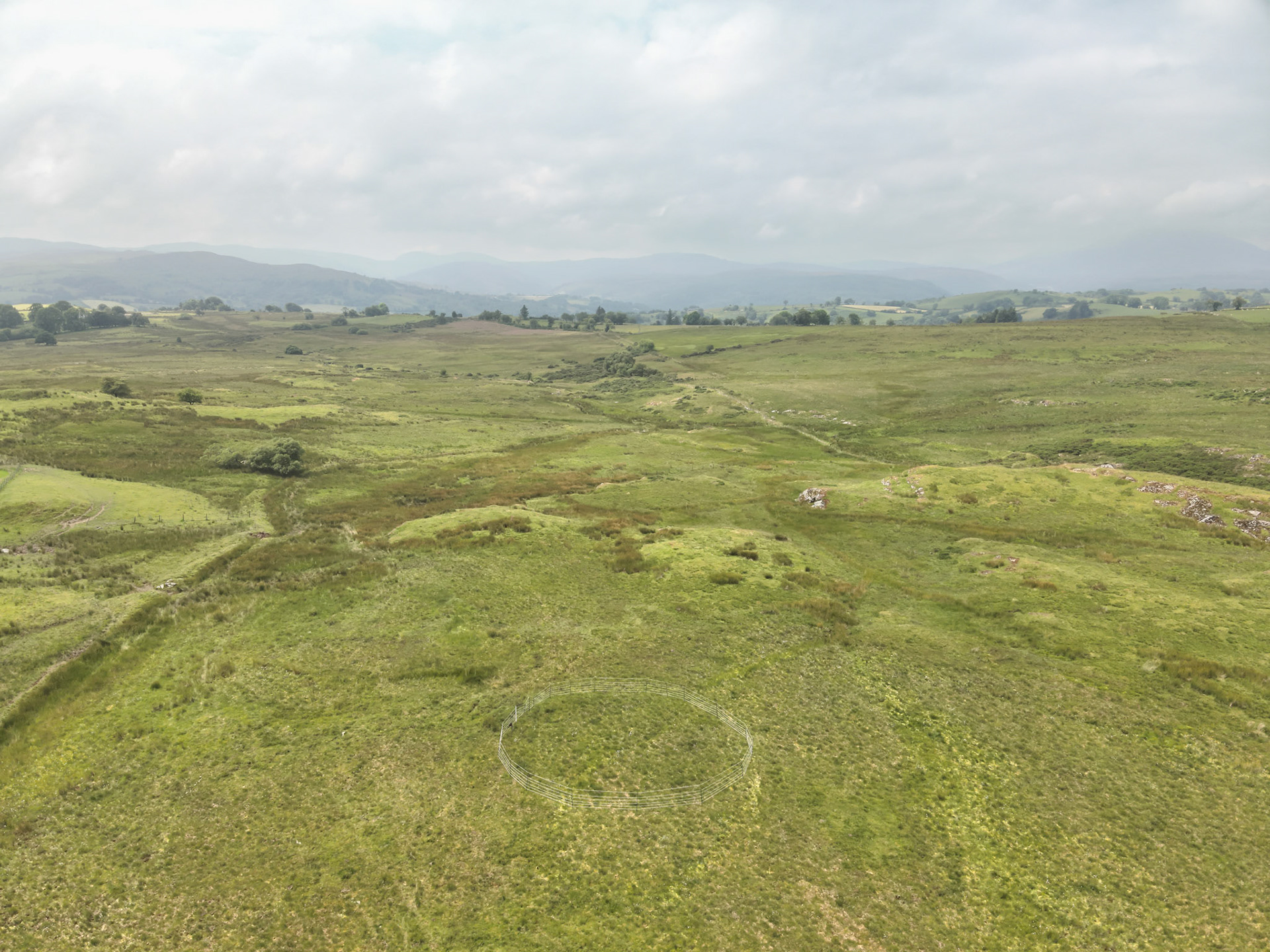 Curlew nest P 5, taken with drone, in the wider landscape. Summer, North Wales, UK.