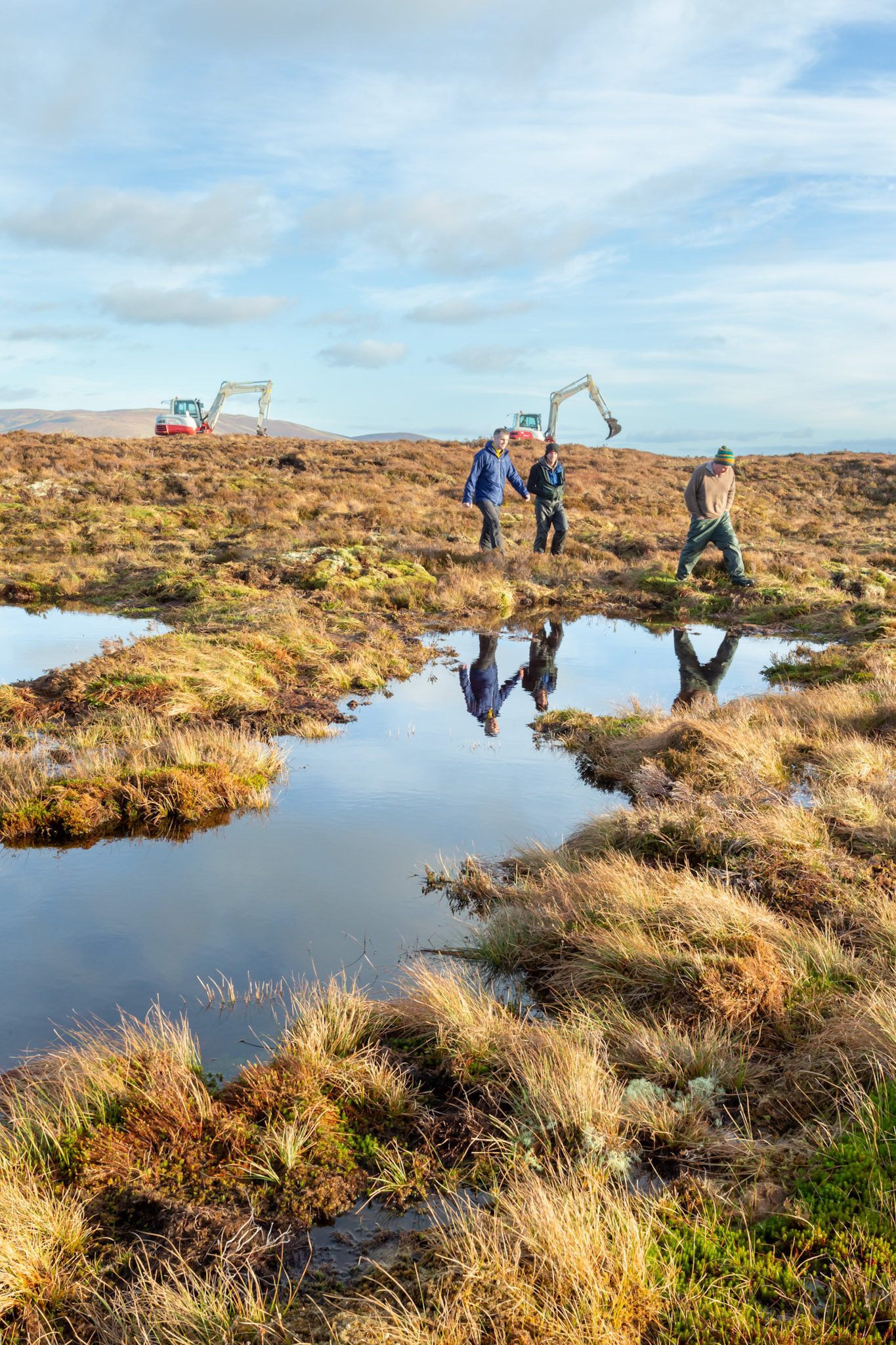 Consevation officer &amp; contractors examining peatland restoration work on Migneint moors, Winter, North Wales, UK (portrait orientation).