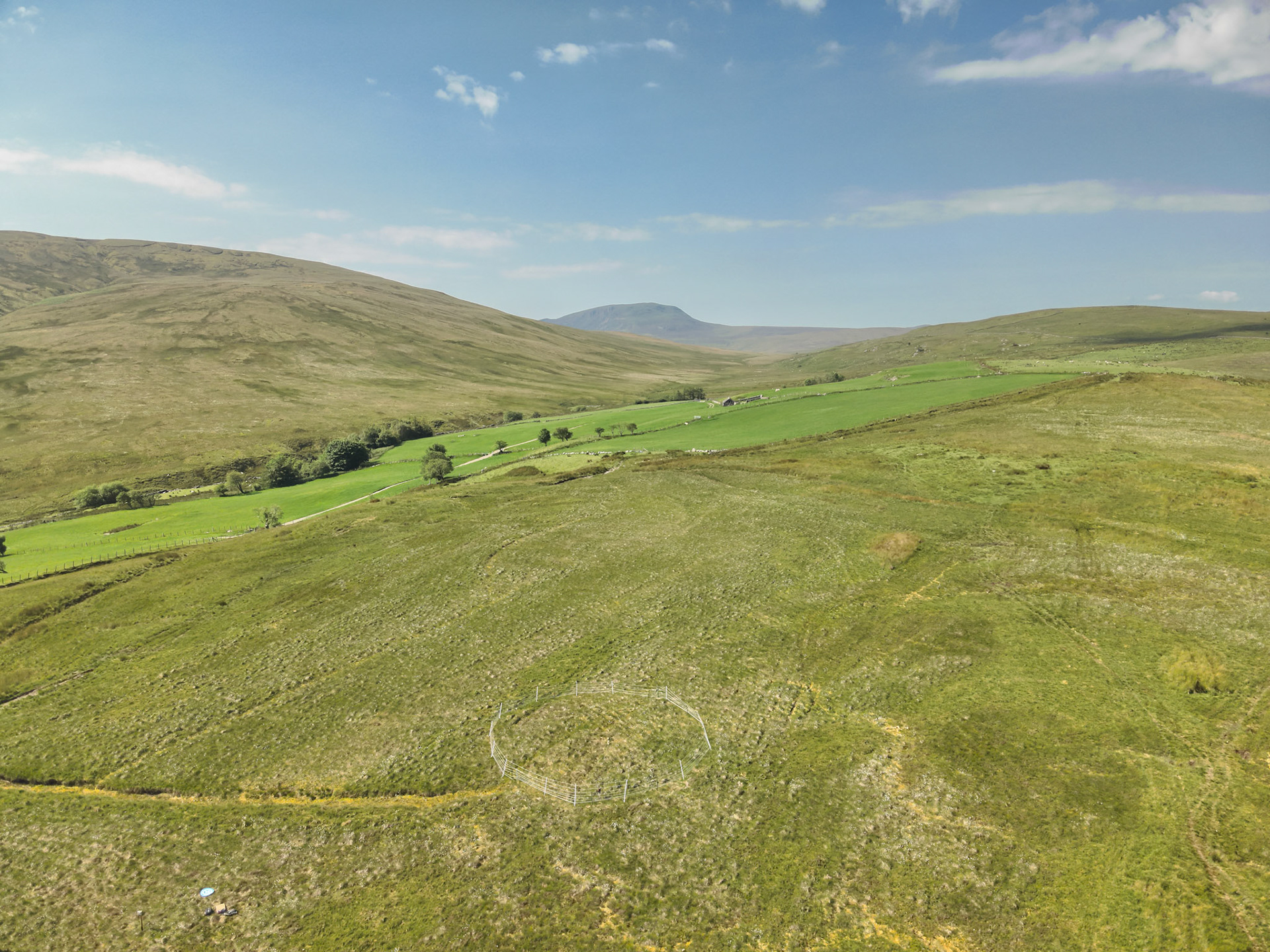 Curlew nest YI 3, taken with drone, in the wider landscape. Summer, North Wales, UK.