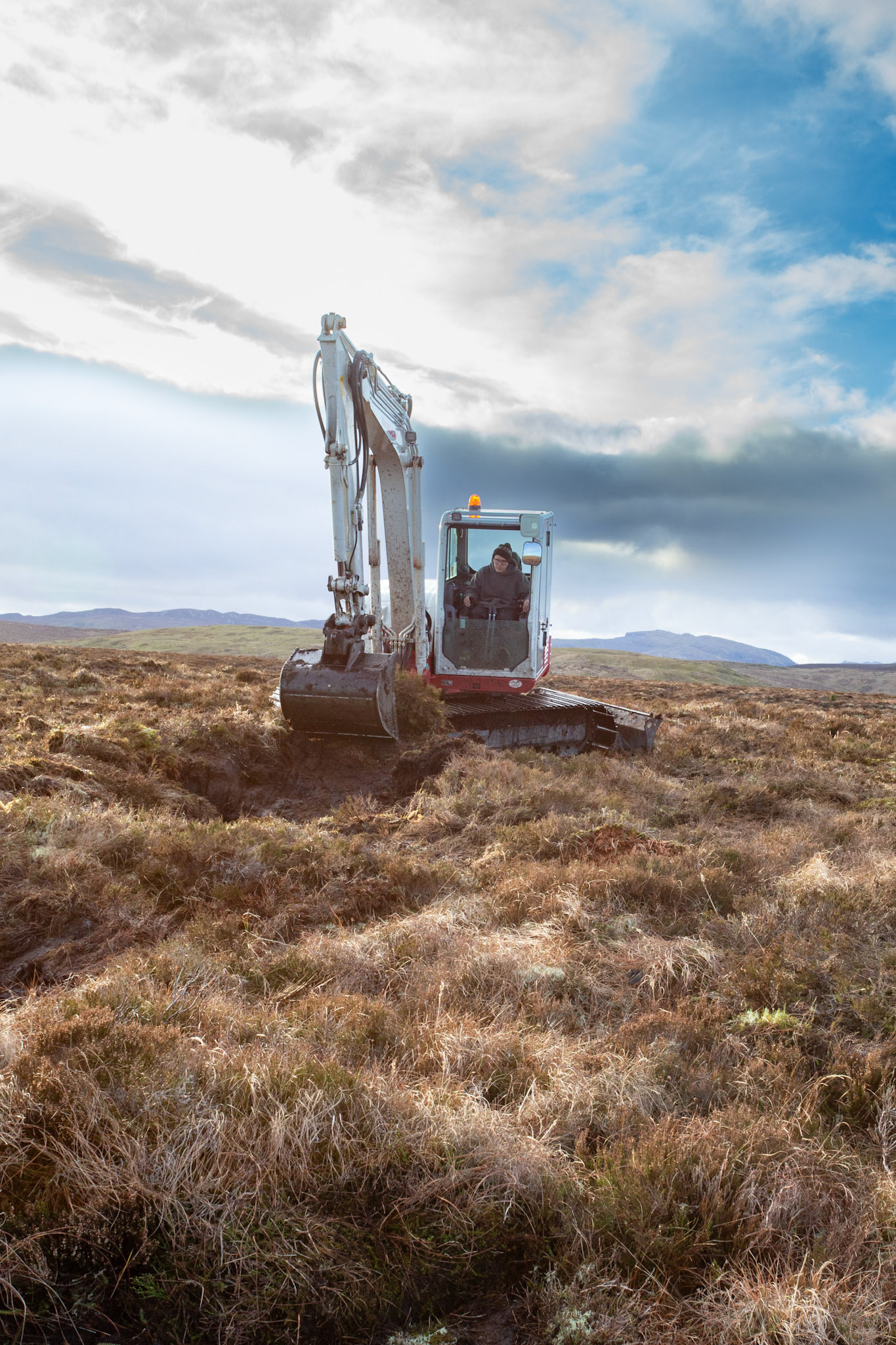 Contractor using digger to carry out peatland restoration work for RSPB peatland restoration project. Winter, Migneint moors, North Wales,UK (Portrait orientation).