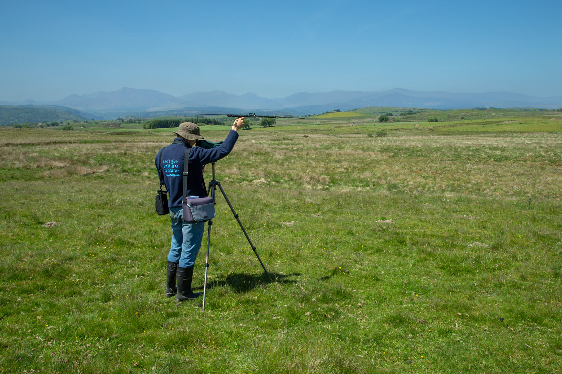 RSPB staff member using radio tagging equiment to track Curlew chicks. Spring, North Wales, UK.