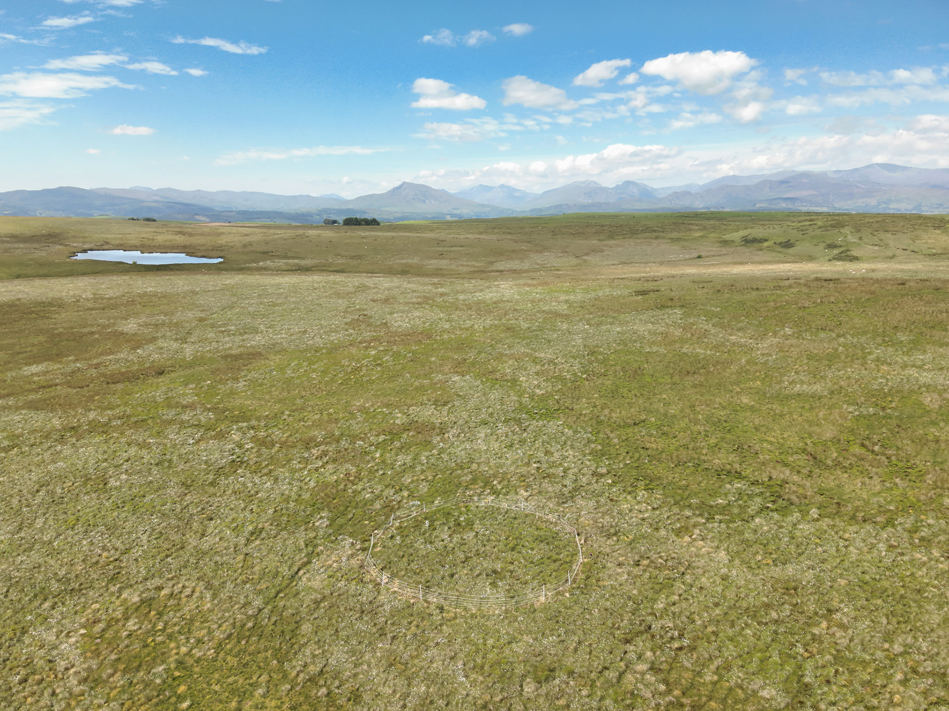 Curlew nest F 2, taken with drone, in the wider landscape. Summer, North Wales, UK.