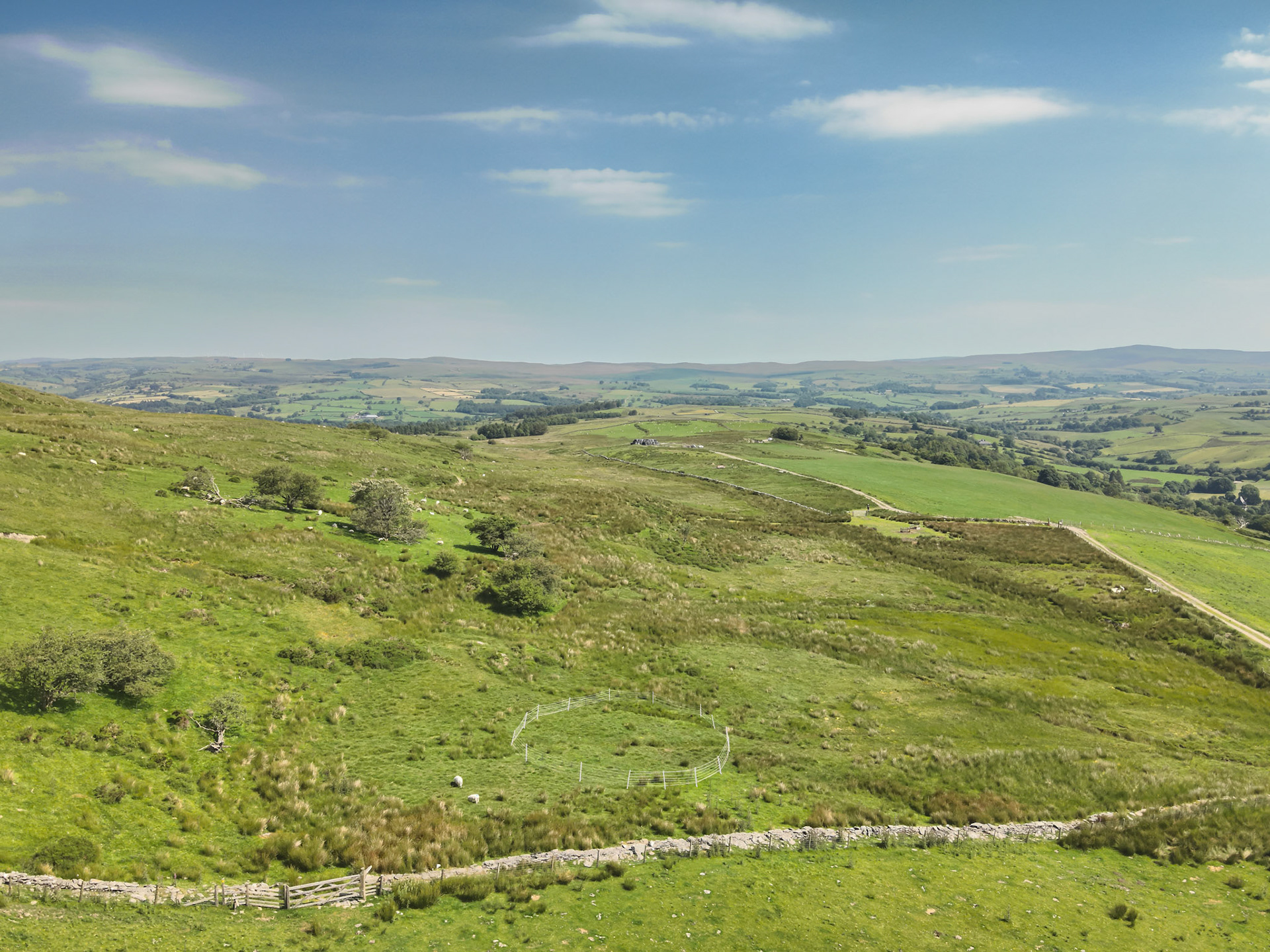 Curlew nest YI 6, taken with drone, in the wider landscape. Summer, North Wales, UK.