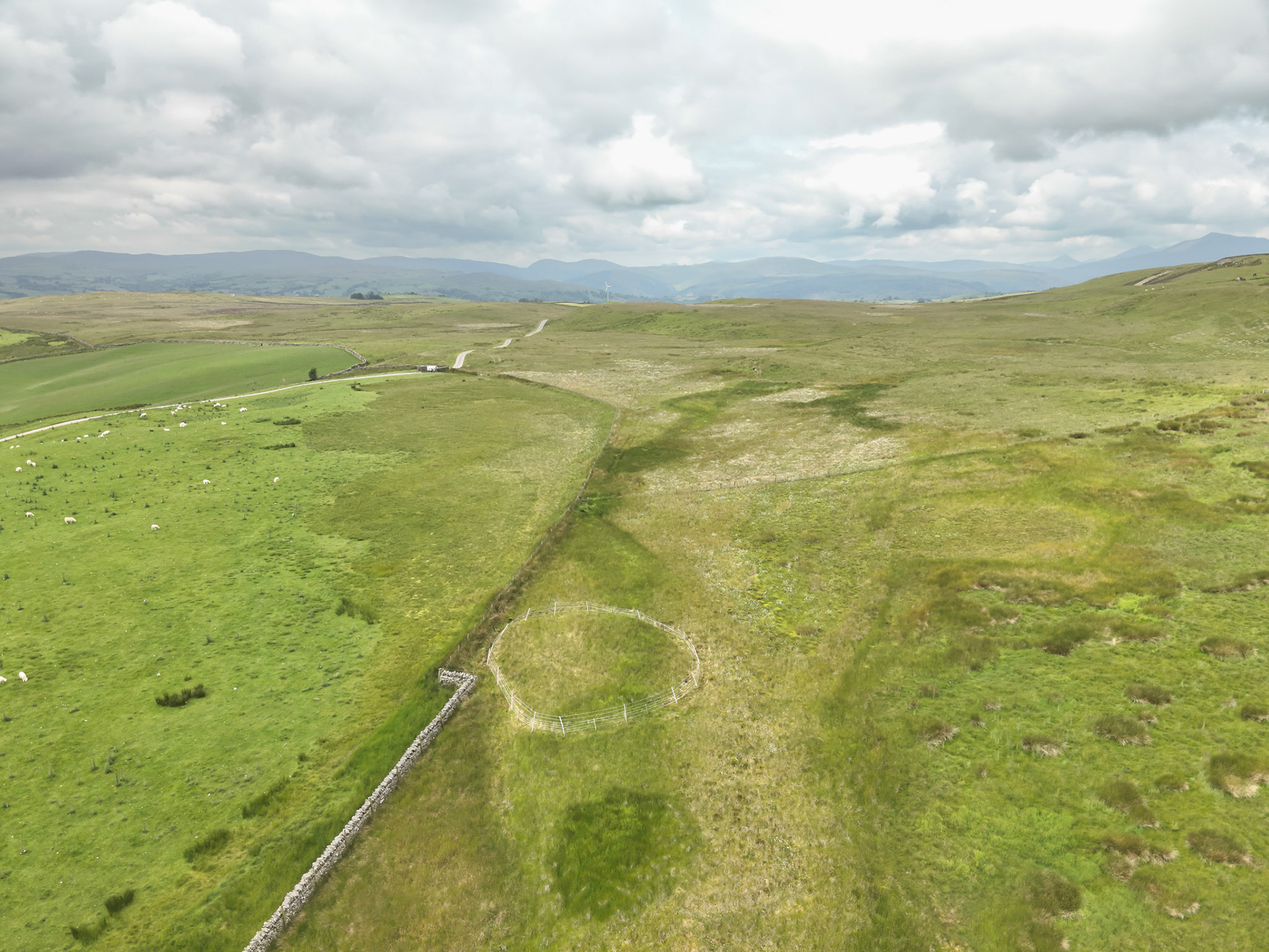 Curlew nest P 4, taken with drone, in the wider landscape. Summer, North Wales, UK.