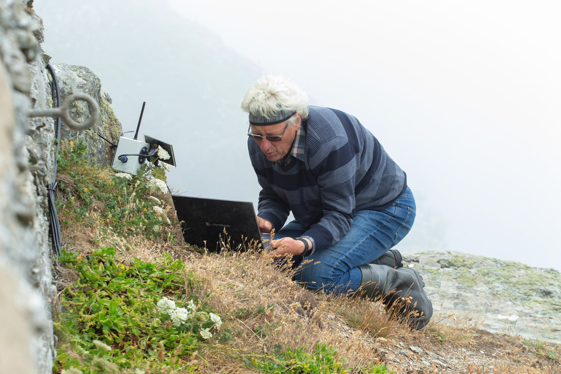RSPB staff downloading tag data from base station. Summer, RSPB South Stack, Wales, UK.