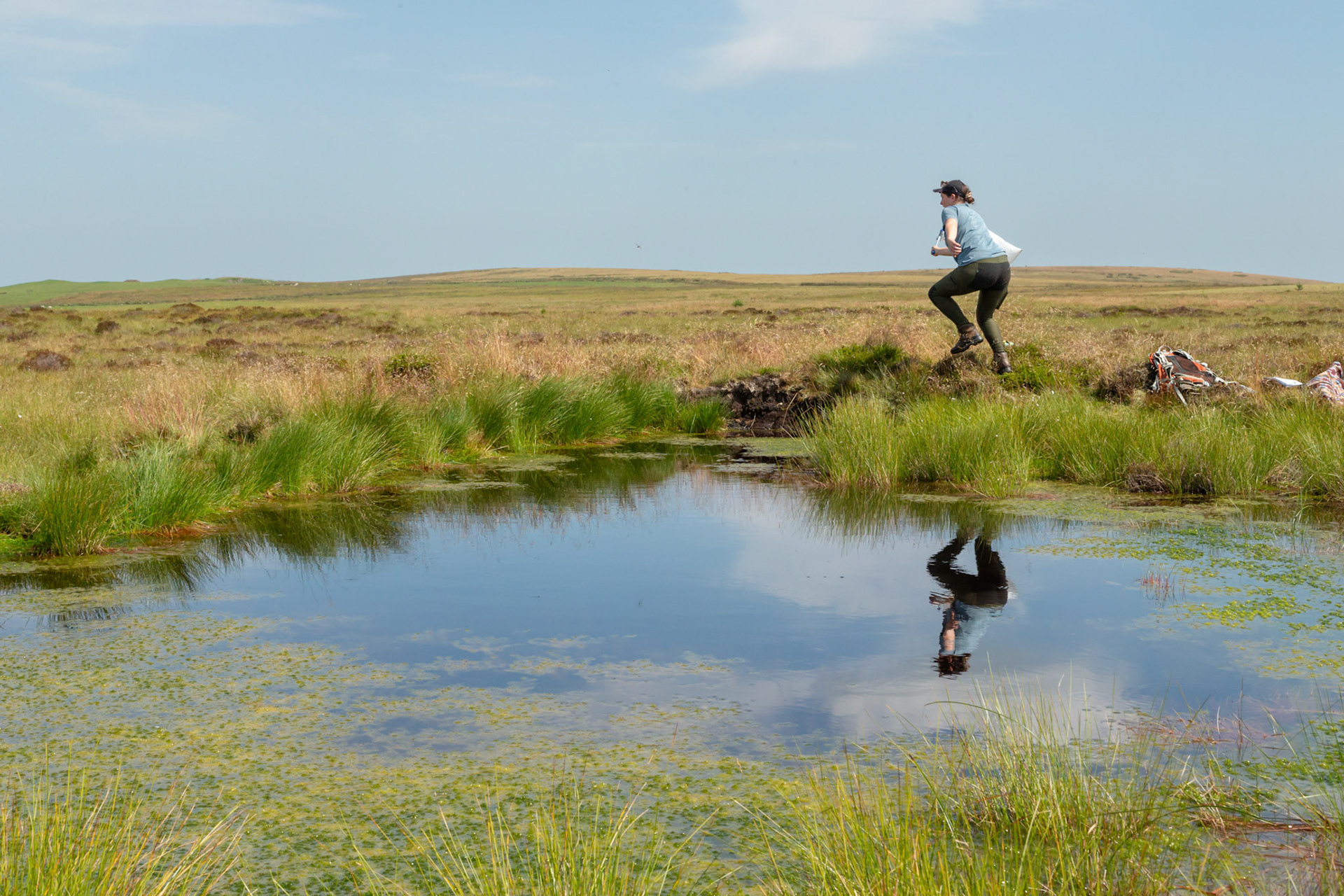 RSPB staff member trying to catch a dragonfly next to pool, with reflections. Whilst surveying on North Wales moors. Summer, North Wales, UK