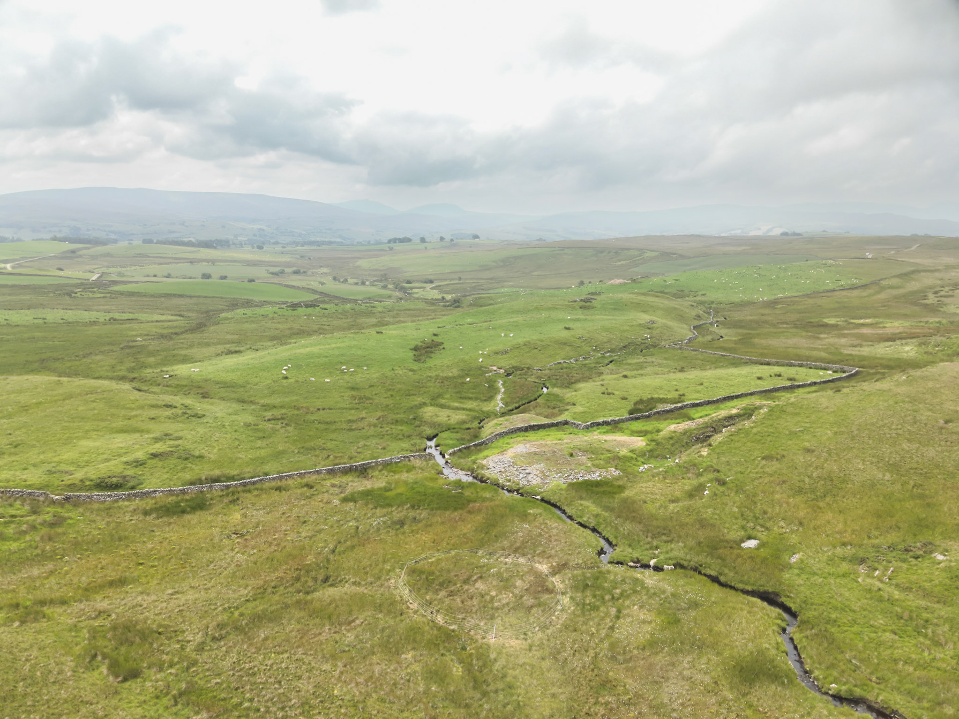 Curlew nest P 8, taken with drone, in the wider landscape. Summer, North Wales, UK.