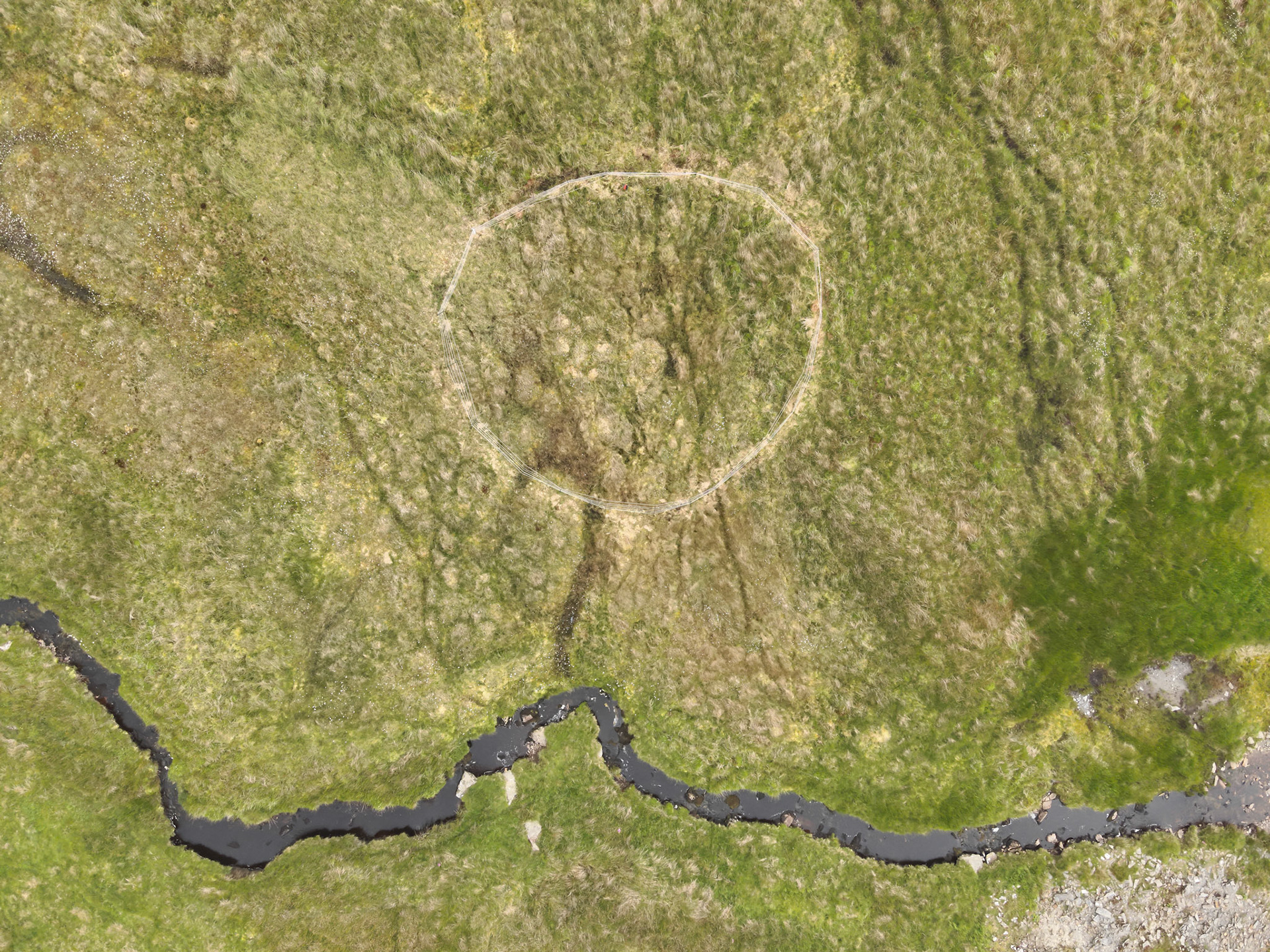Curlew nest P 8, taken with drone, looking down. Summer, North Wales, UK.