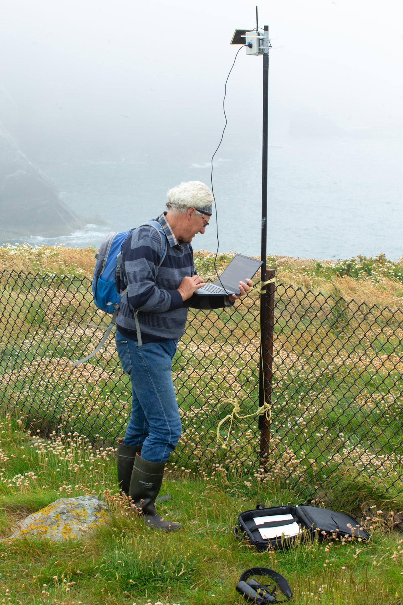 RSPB staff downloading tag data from base station. Summer, RSPB South Stack, Wales, UK.