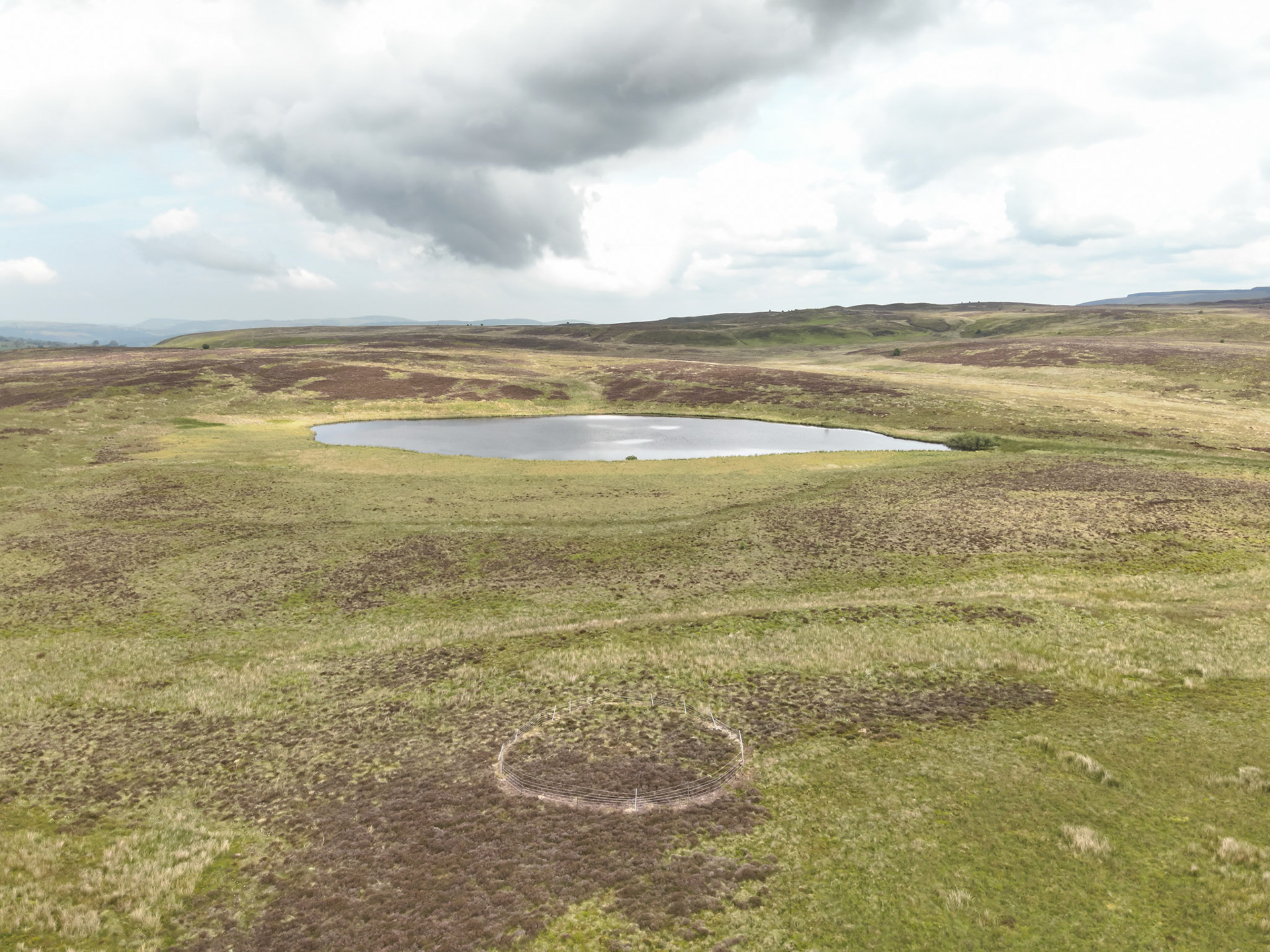 Curlew nest GD 4, taken with drone, in the wider landscape. Summer, North Wales, UK.