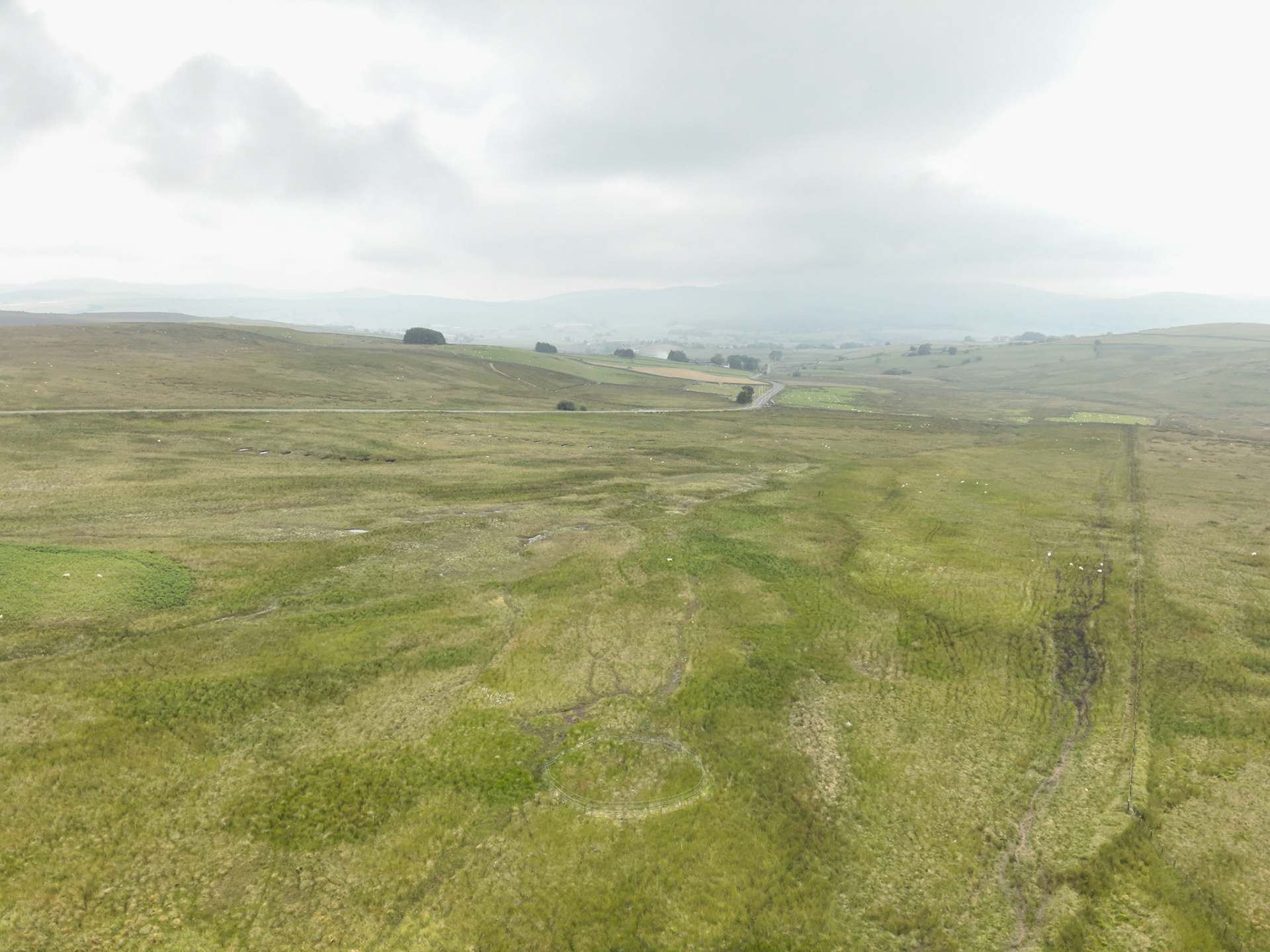Curlew nest P 9, taken with drone, in the wider landscape. Summer, North Wales, UK.