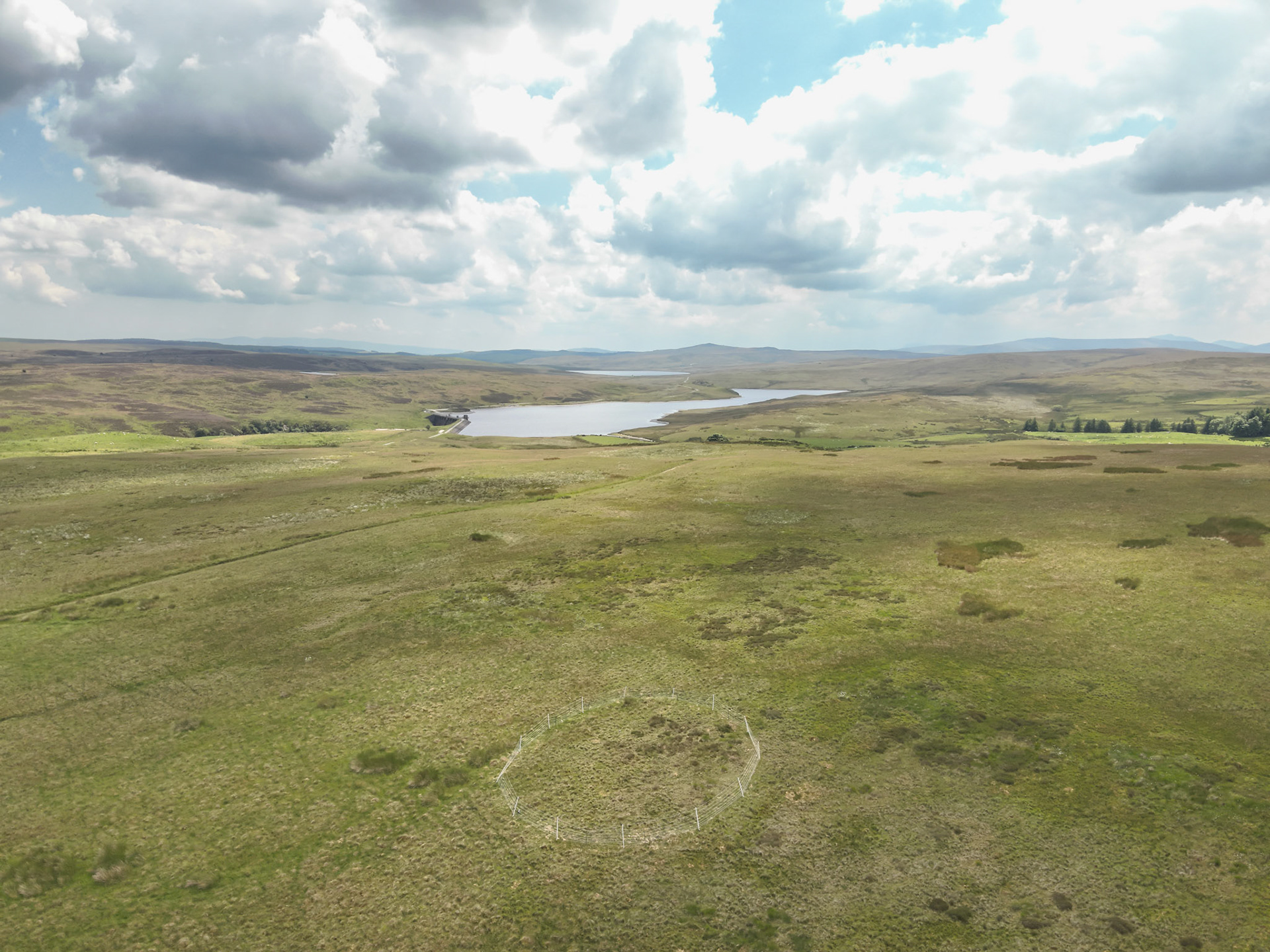 Curlew nest GD 2, taken with drone, in the wider landscape. Summer, North Wales, UK.