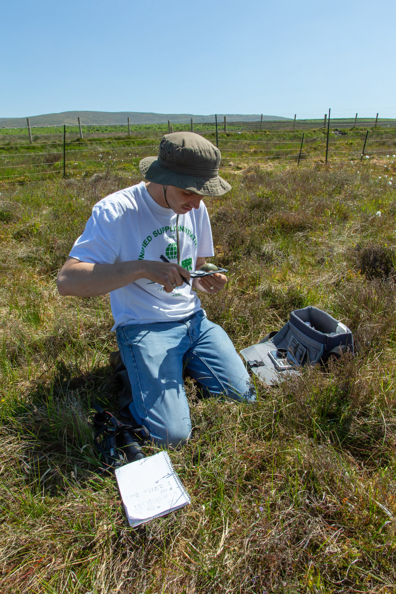 RSPB staff measuring curlew eggs. Spring, North Wales, UK