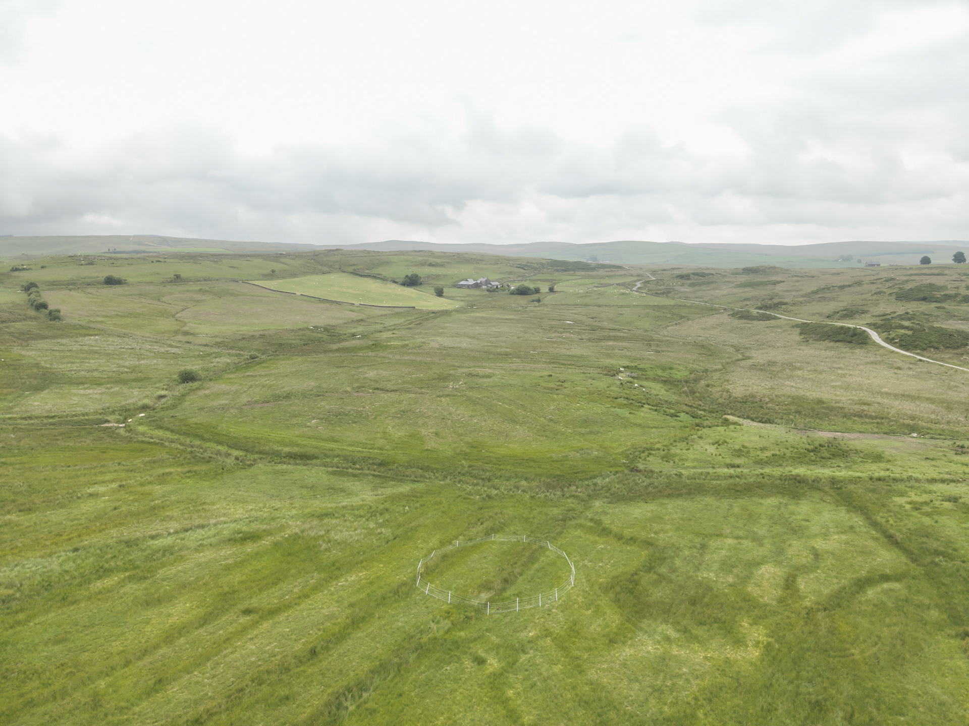 Curlew nest P 3, taken with drone, in the wider landscape. Summer, North Wales, UK.