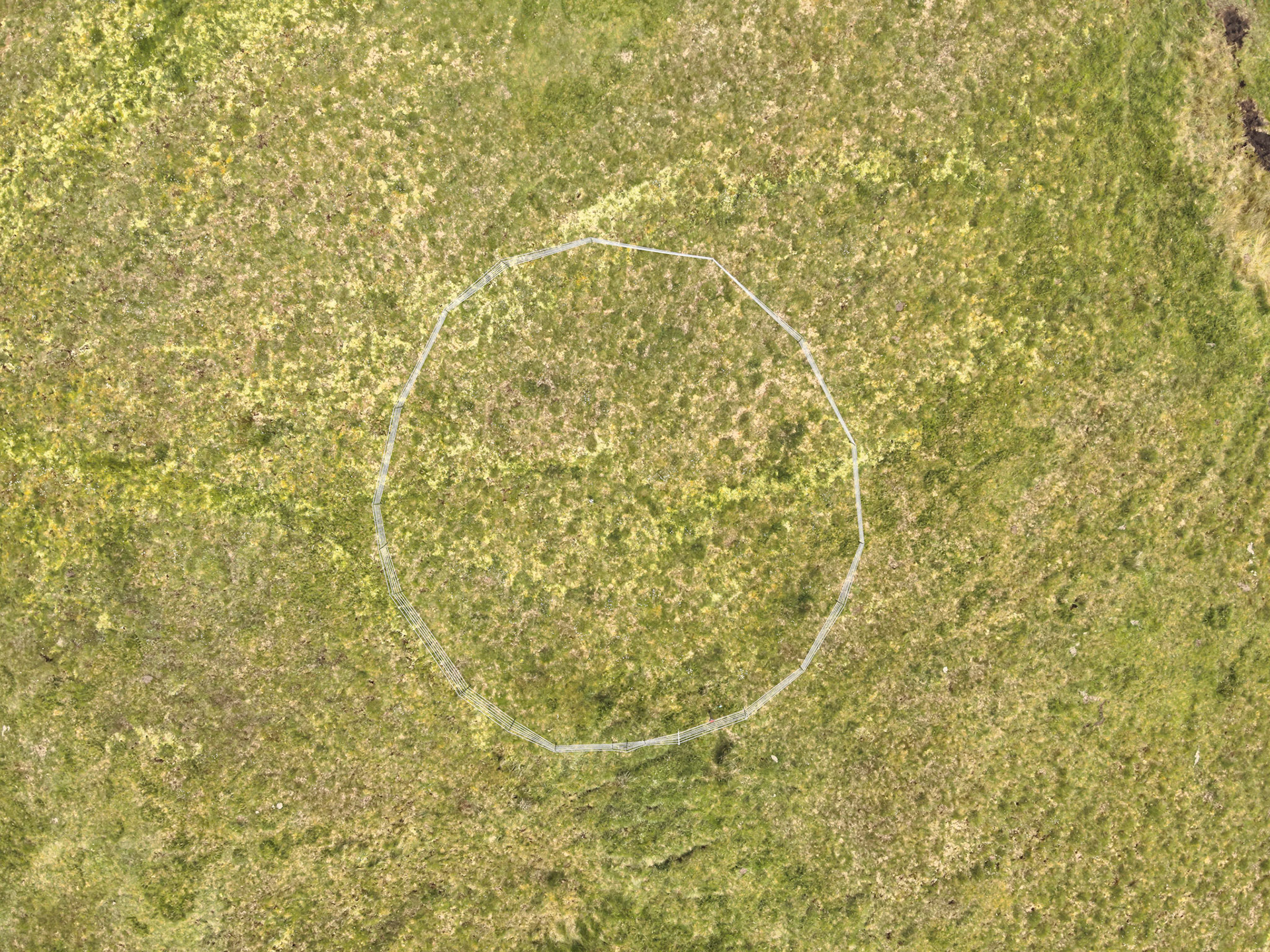Curlew nest P 5, taken with drone, looking down. Summer, North Wales, UK.