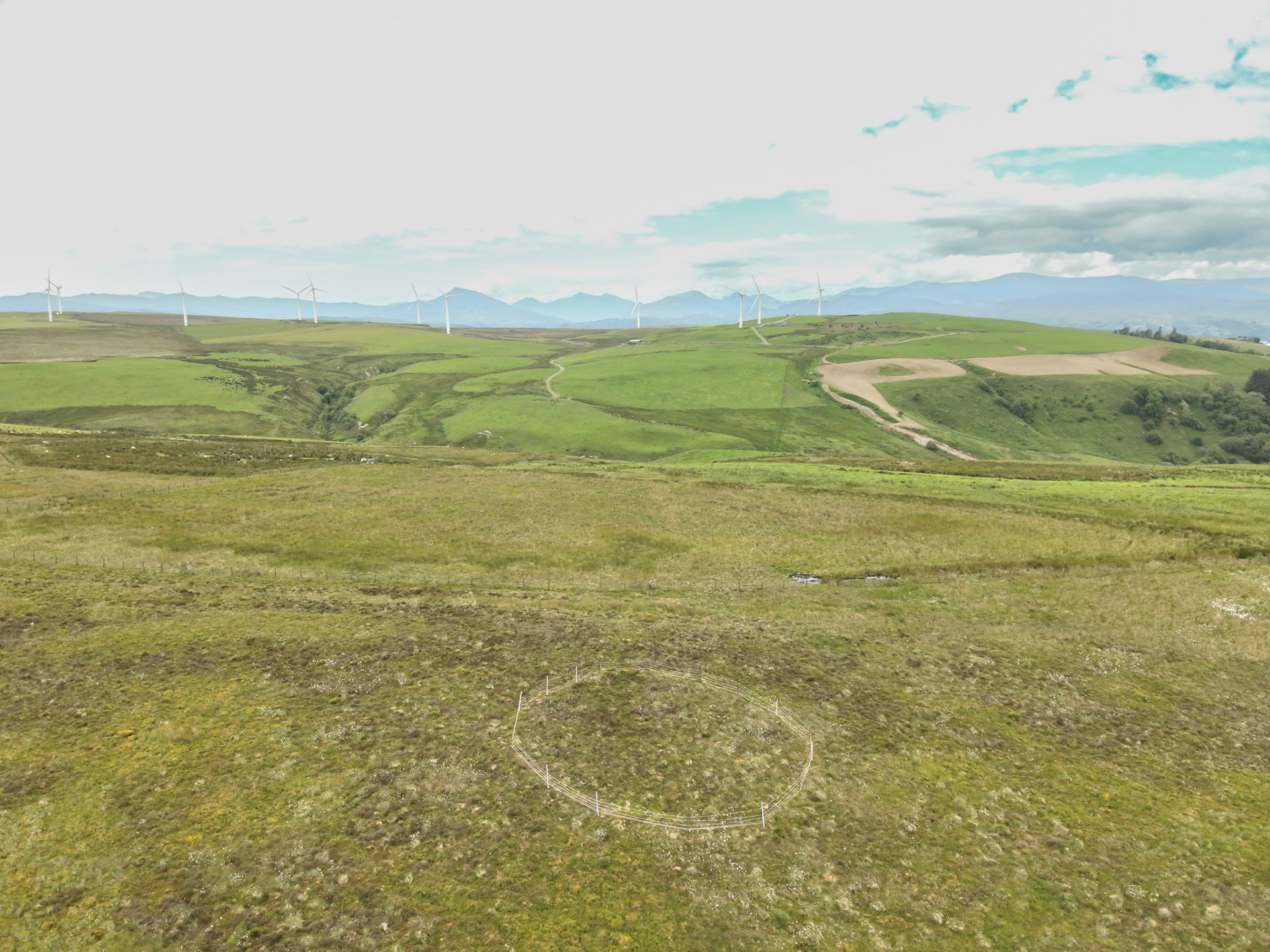 Curlew nest F 1, taken with drone, in the wider landscape. Summer, North Wales, UK.