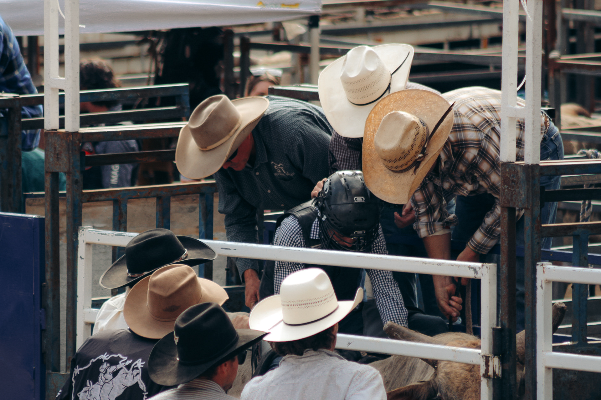 Gympie Music Muster - Bull Ride 2023
