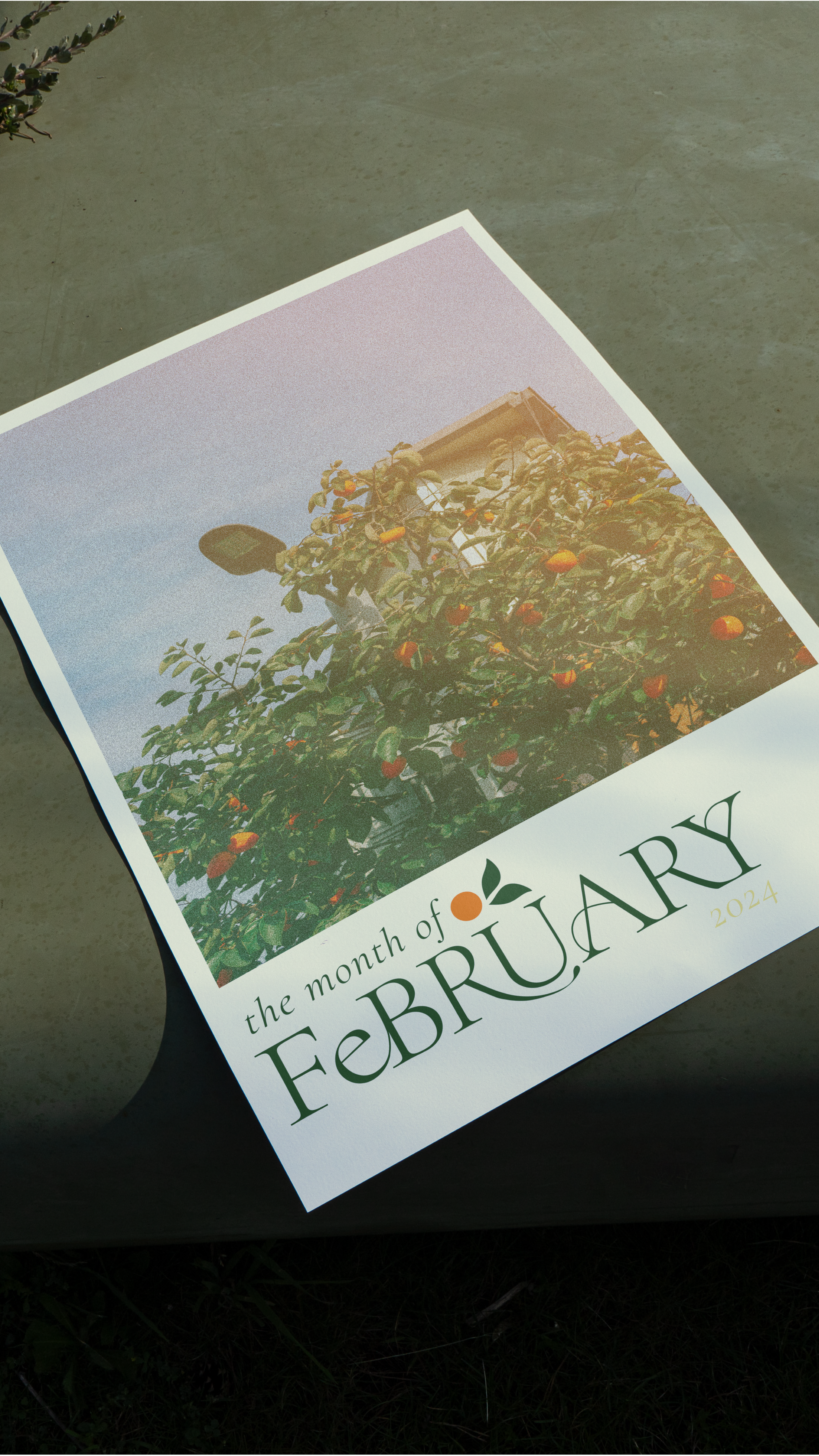 February 2024