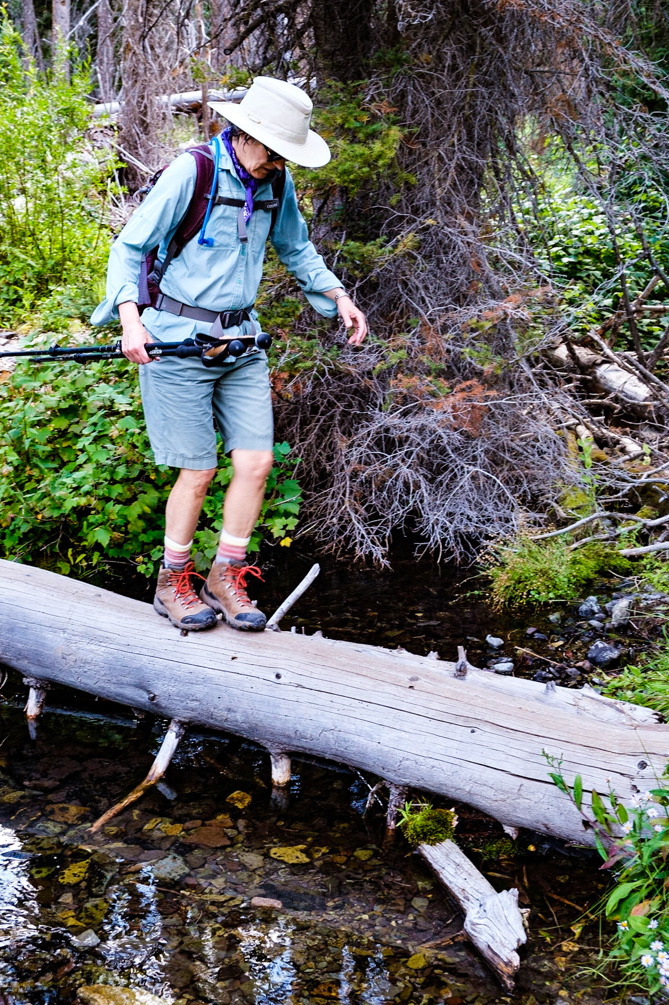 Sawtooth Wilderness, Idaho