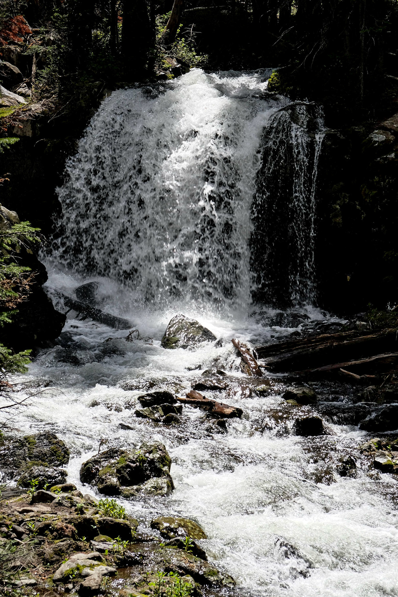 Hyalite Creek, Montana