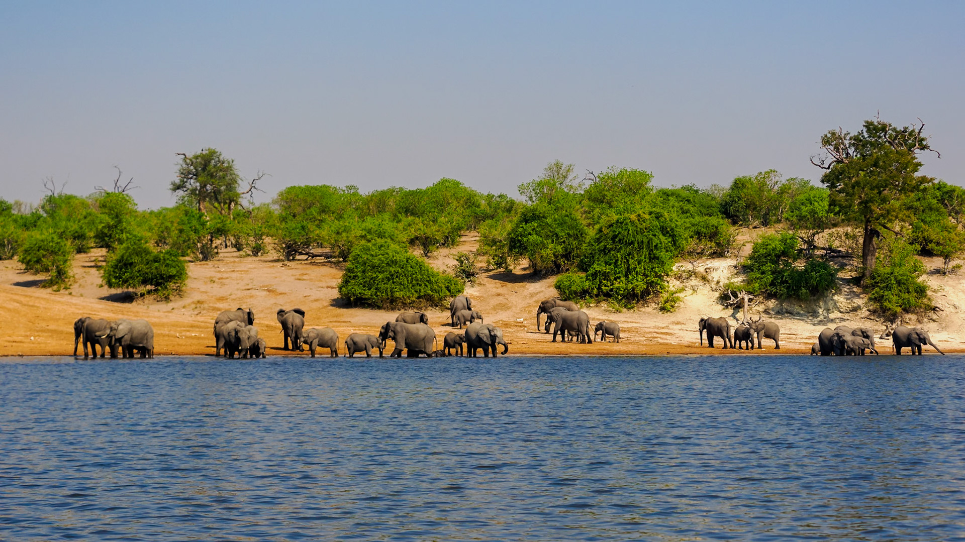 Elephant Bay on the Chobe River