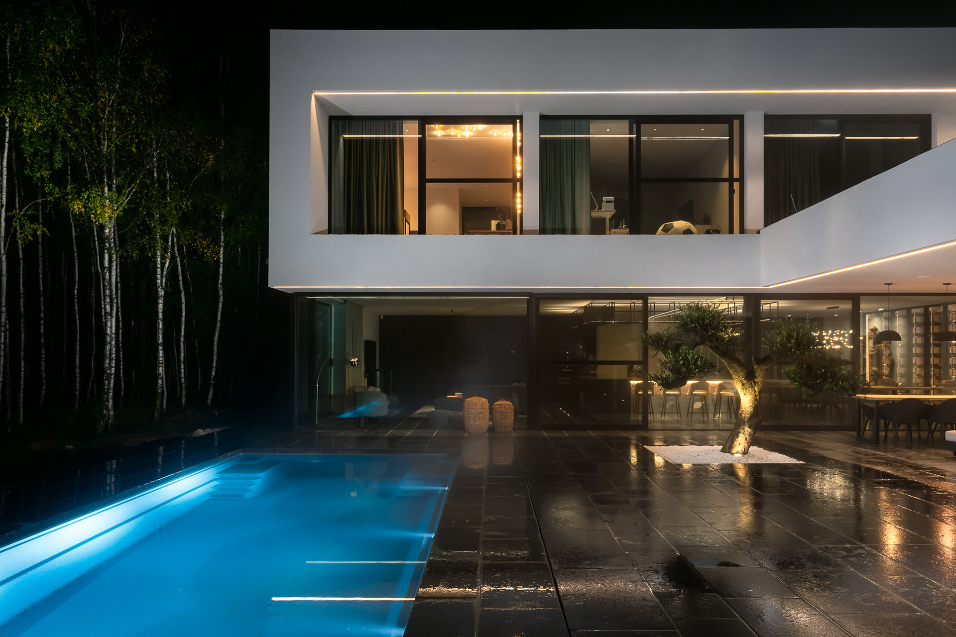 Elewacja budynku mieszkalnego