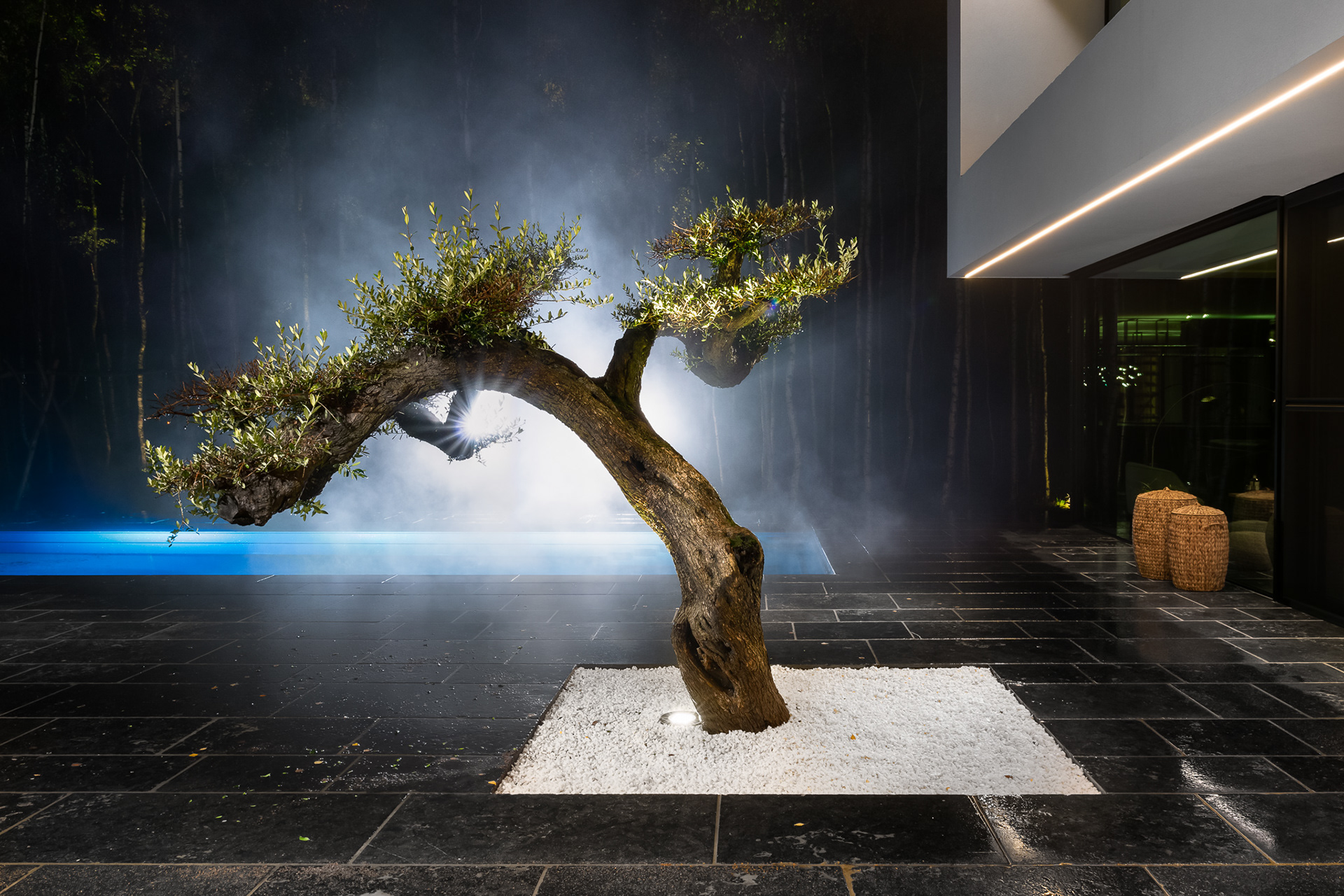 Otoczenie budynku mieszkalnego