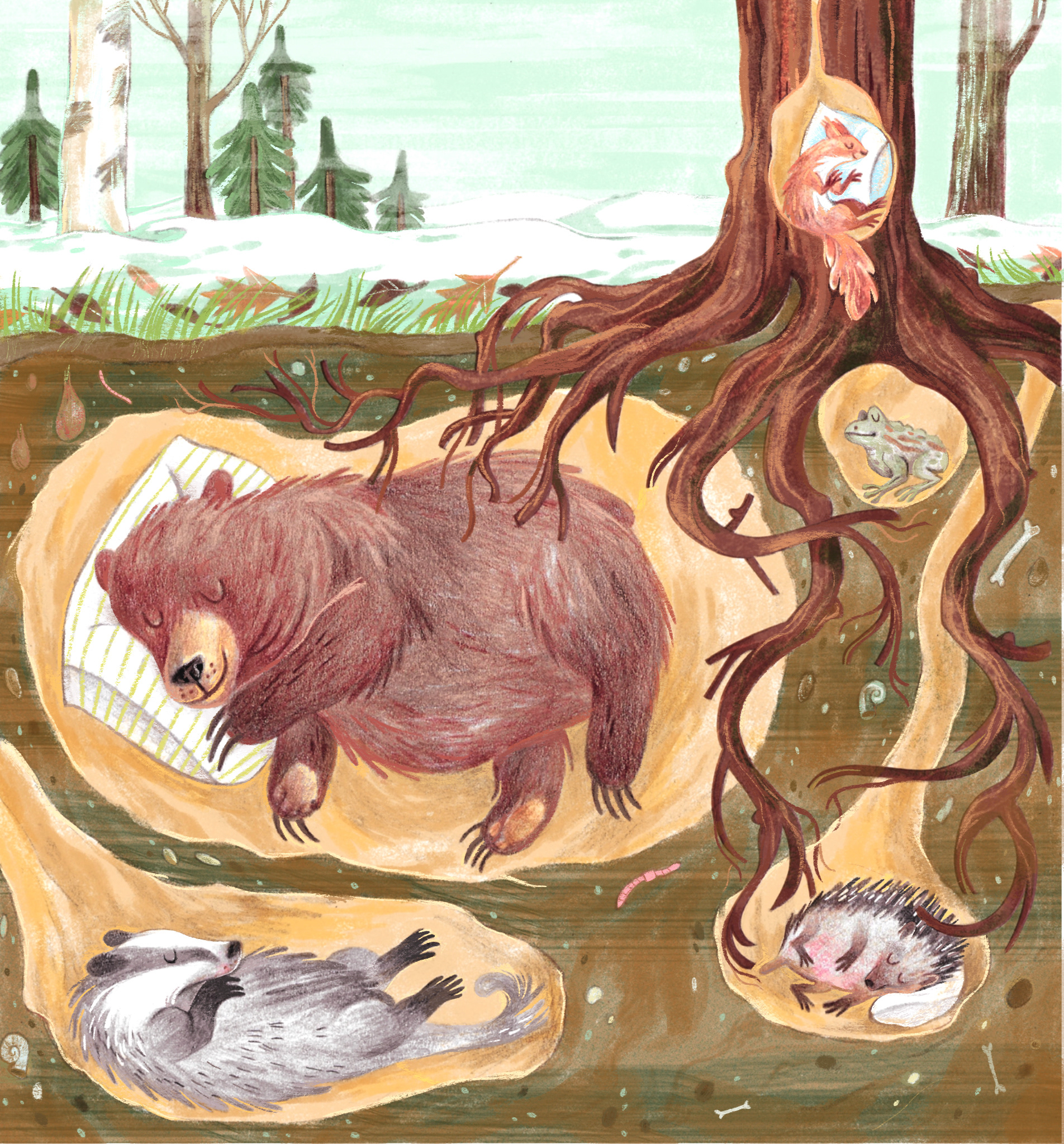 Hibernation