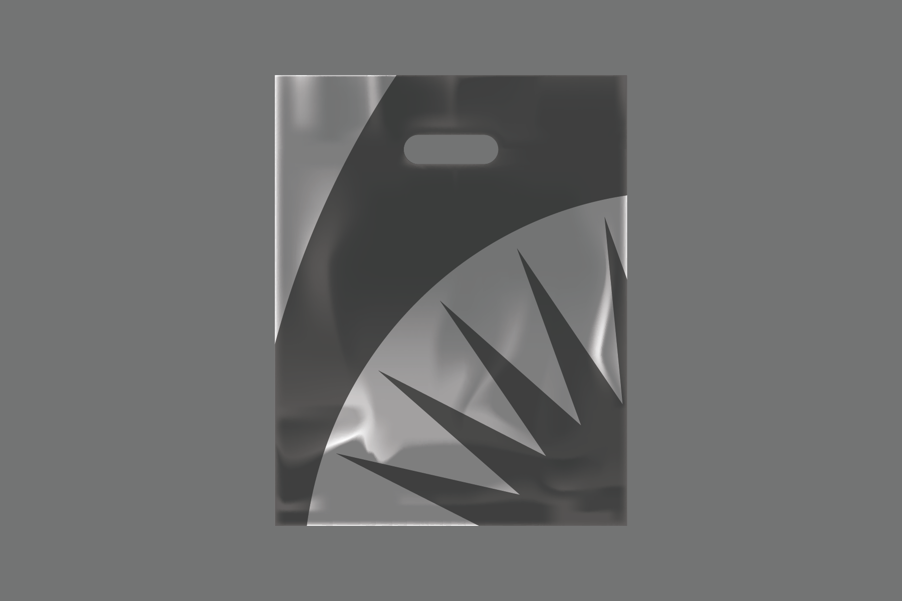 Gift Shop Bag