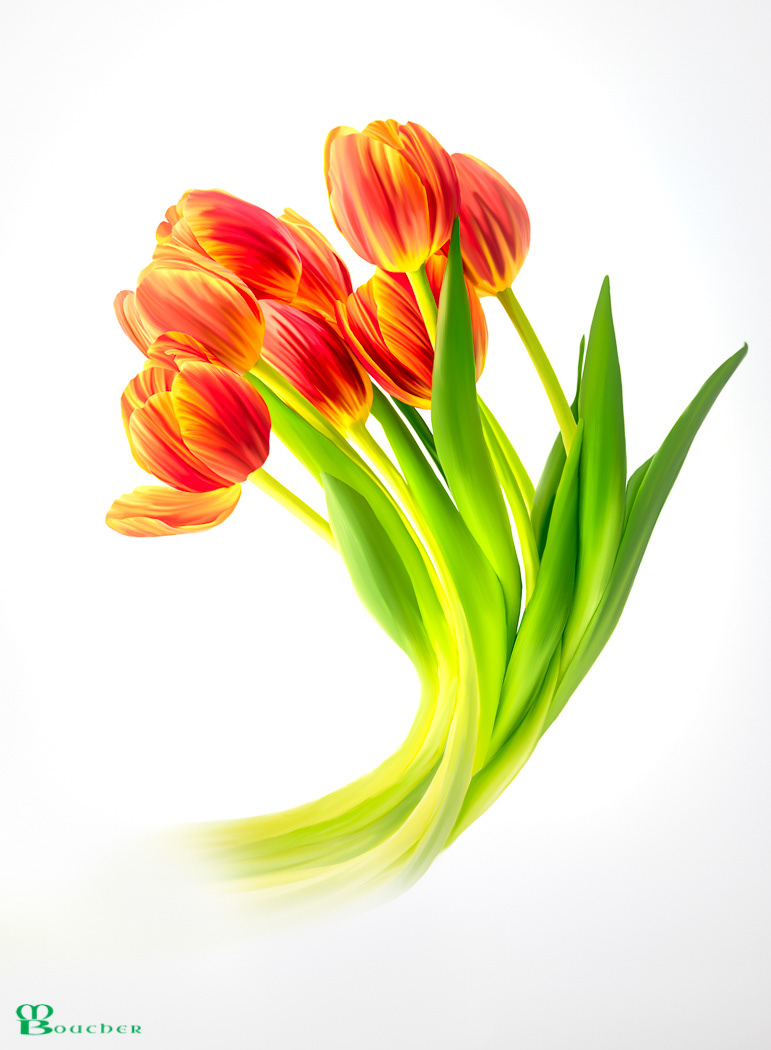 High-Key Tulips