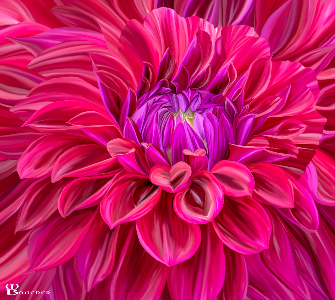 Red Dahlia