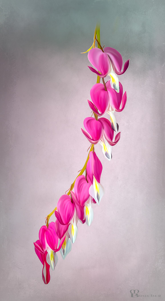 Bleeding Hearts