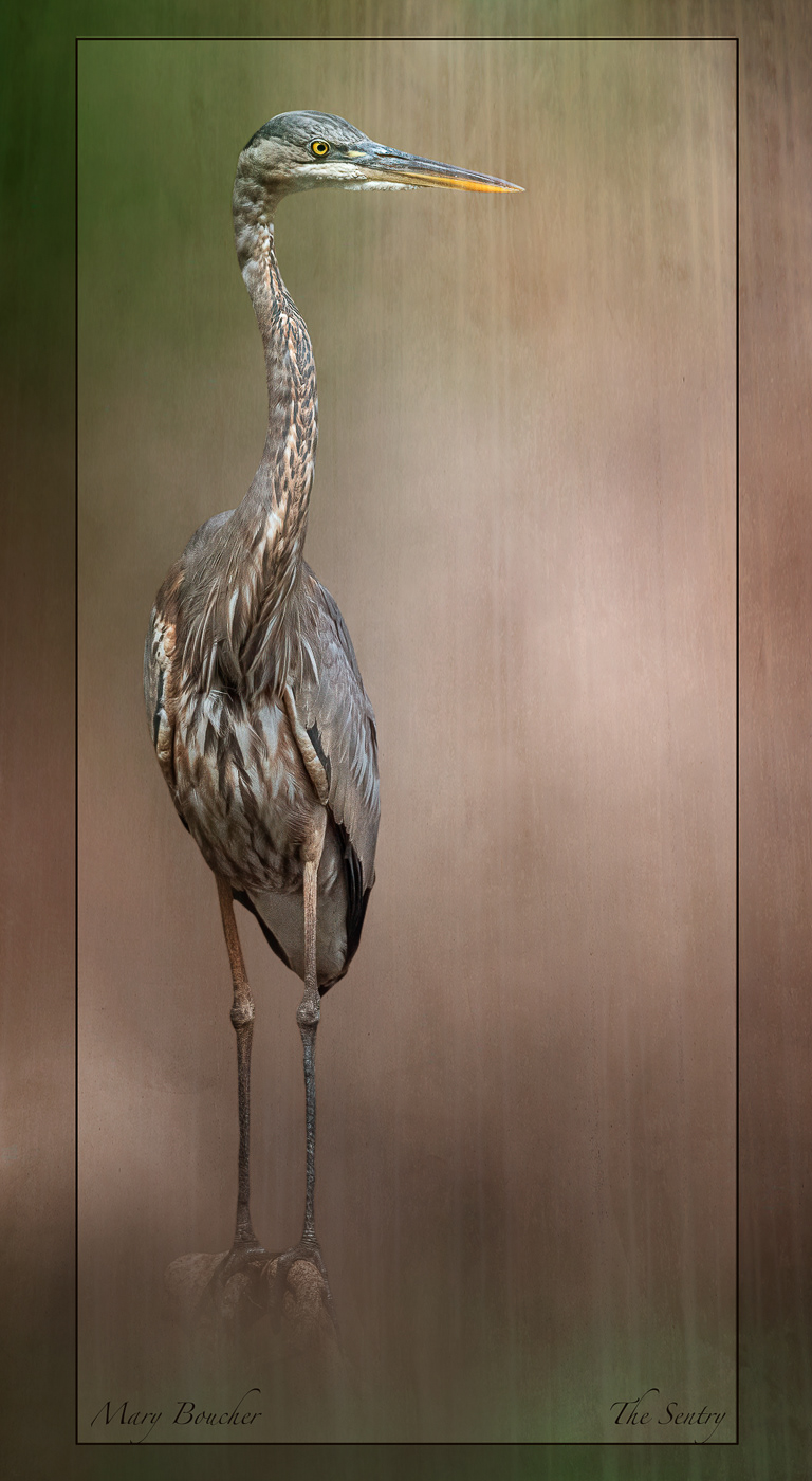 Heron Sentry
