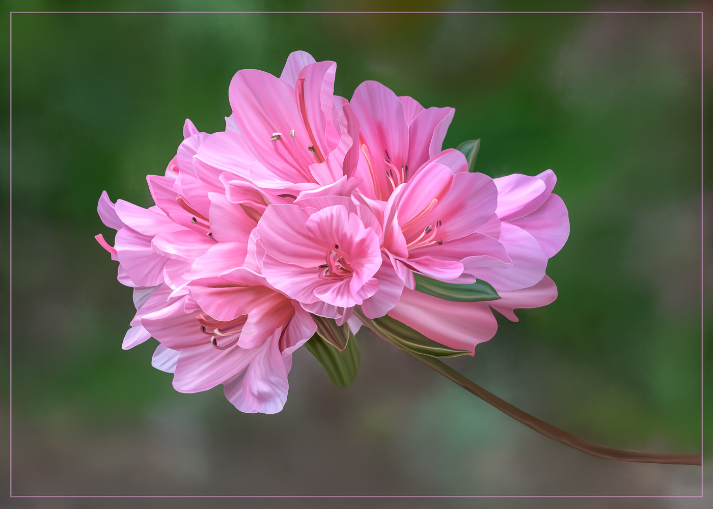 Azalea Branch
