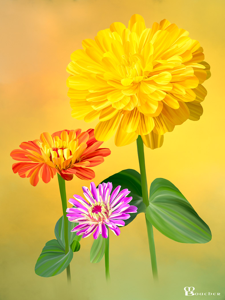 Zinnia Trio